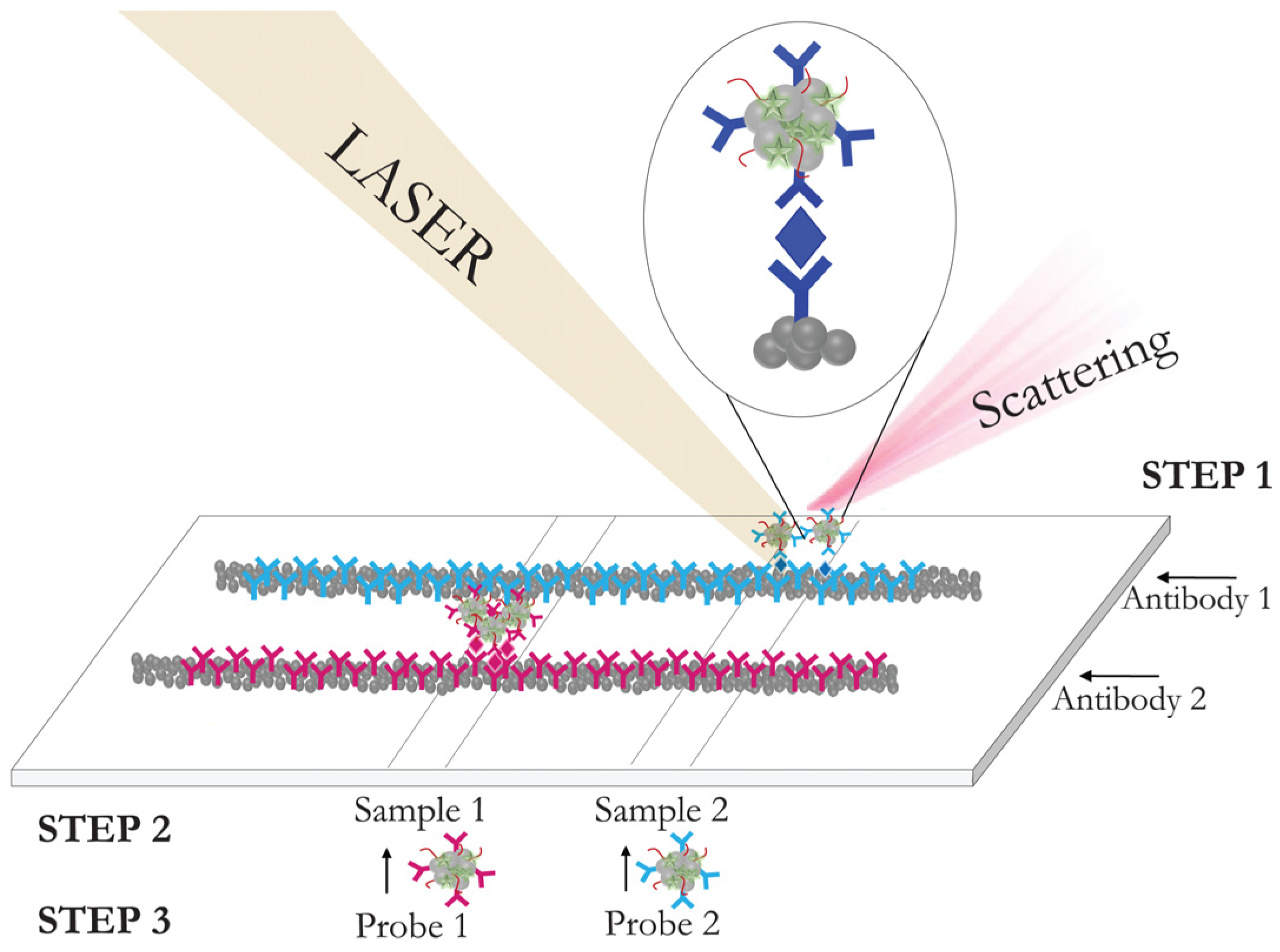 Biosensors 11 00512 g006