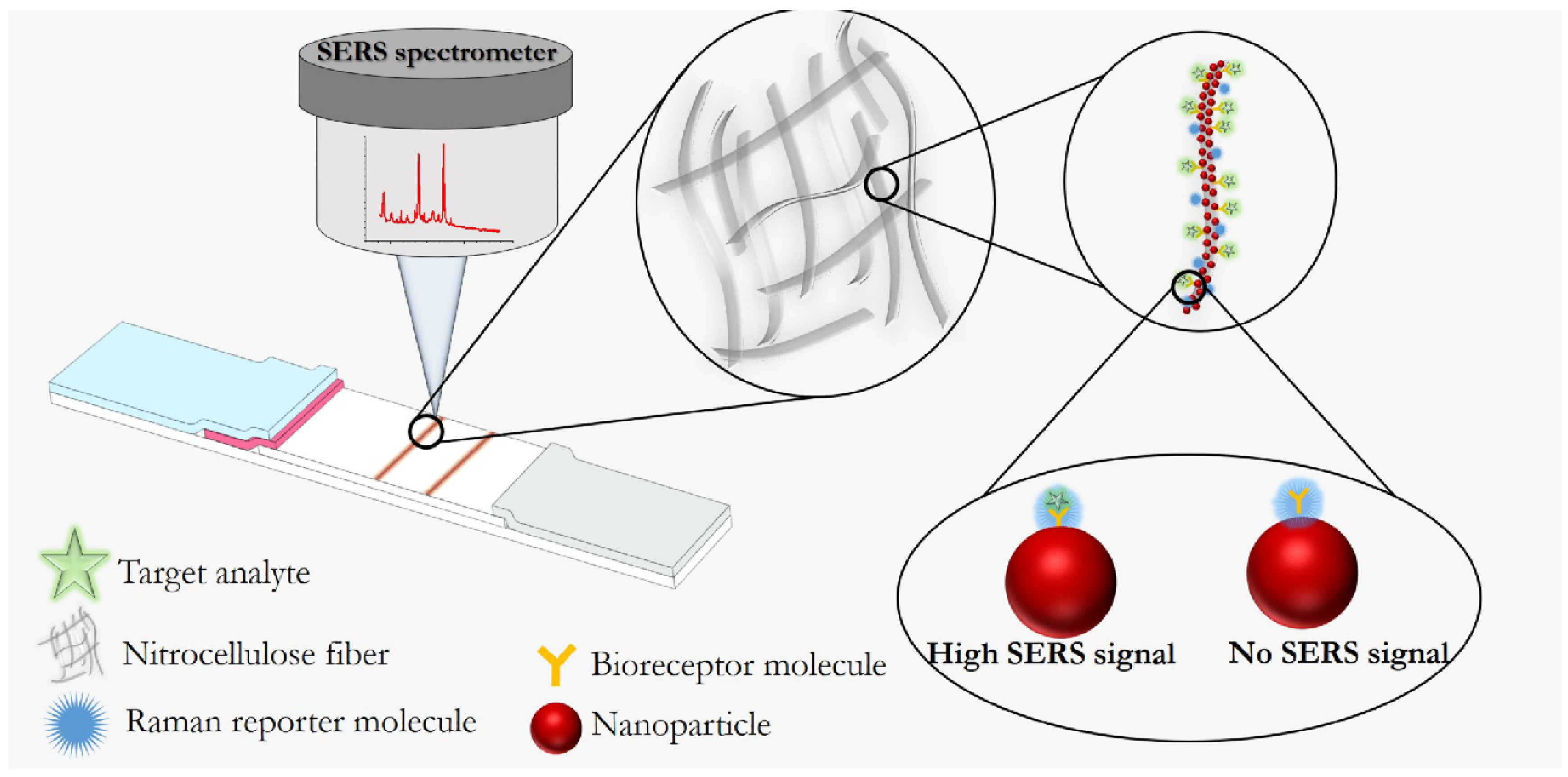 Biosensors 11 00512 g007