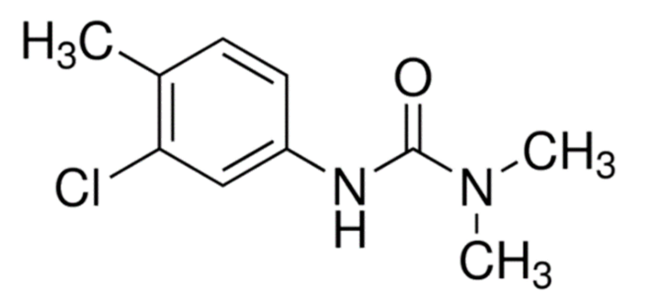 Biosensors 11 00513 g001