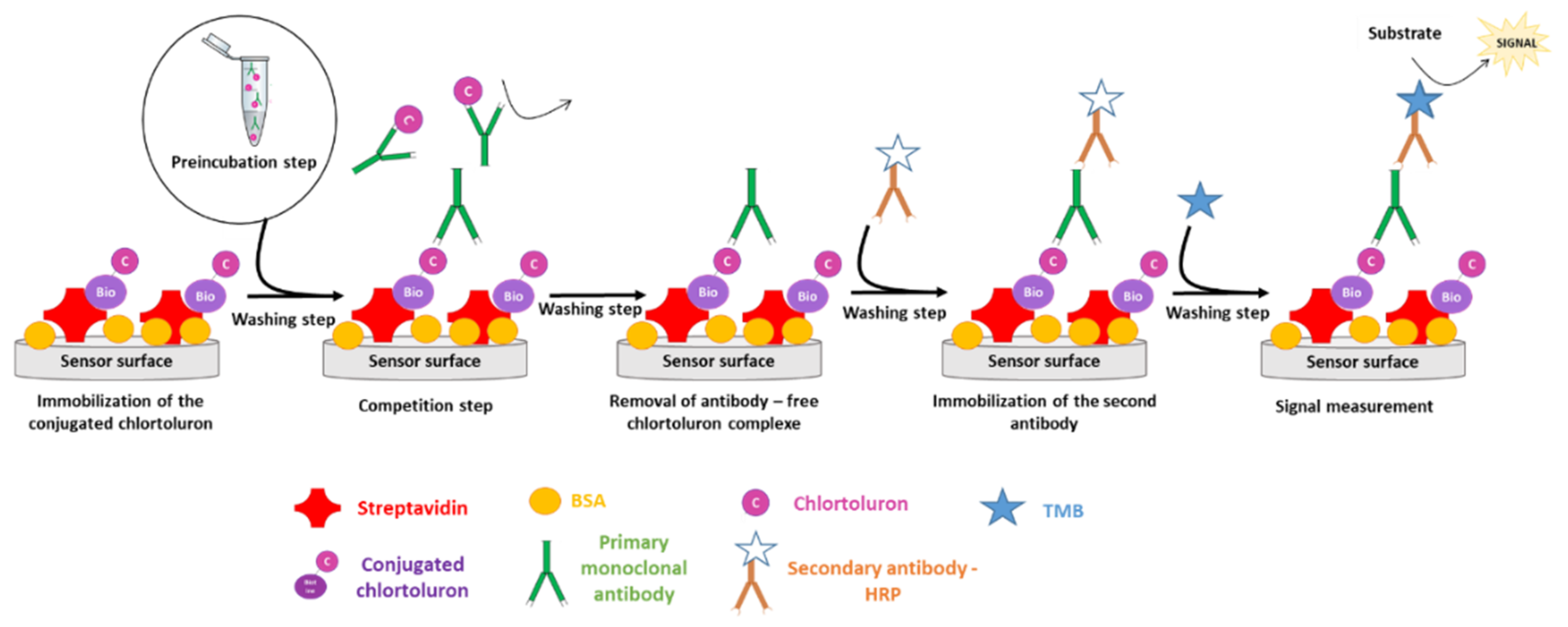 Biosensors 11 00513 g002