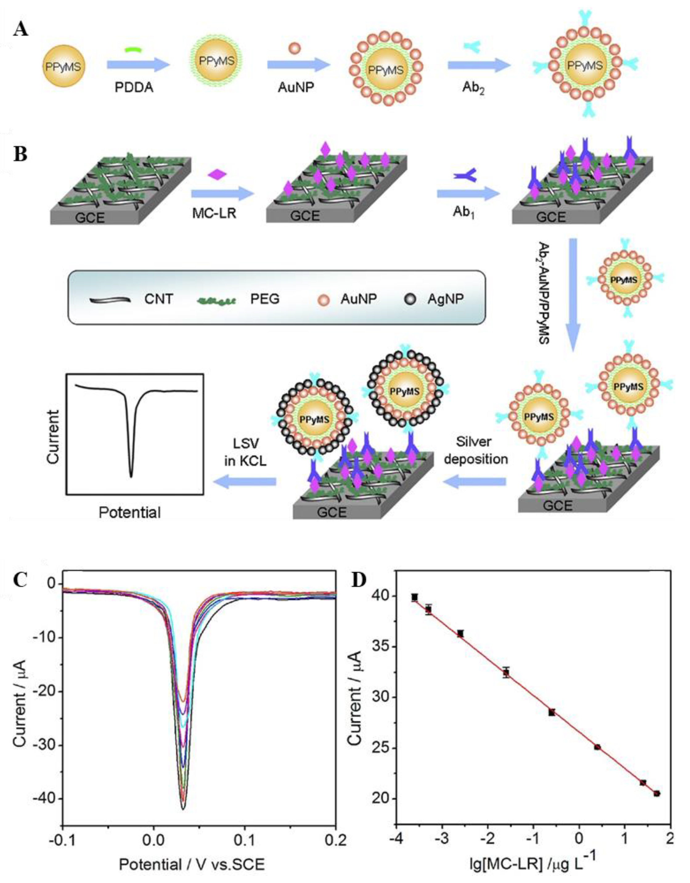 Biosensors 11 00525 g001