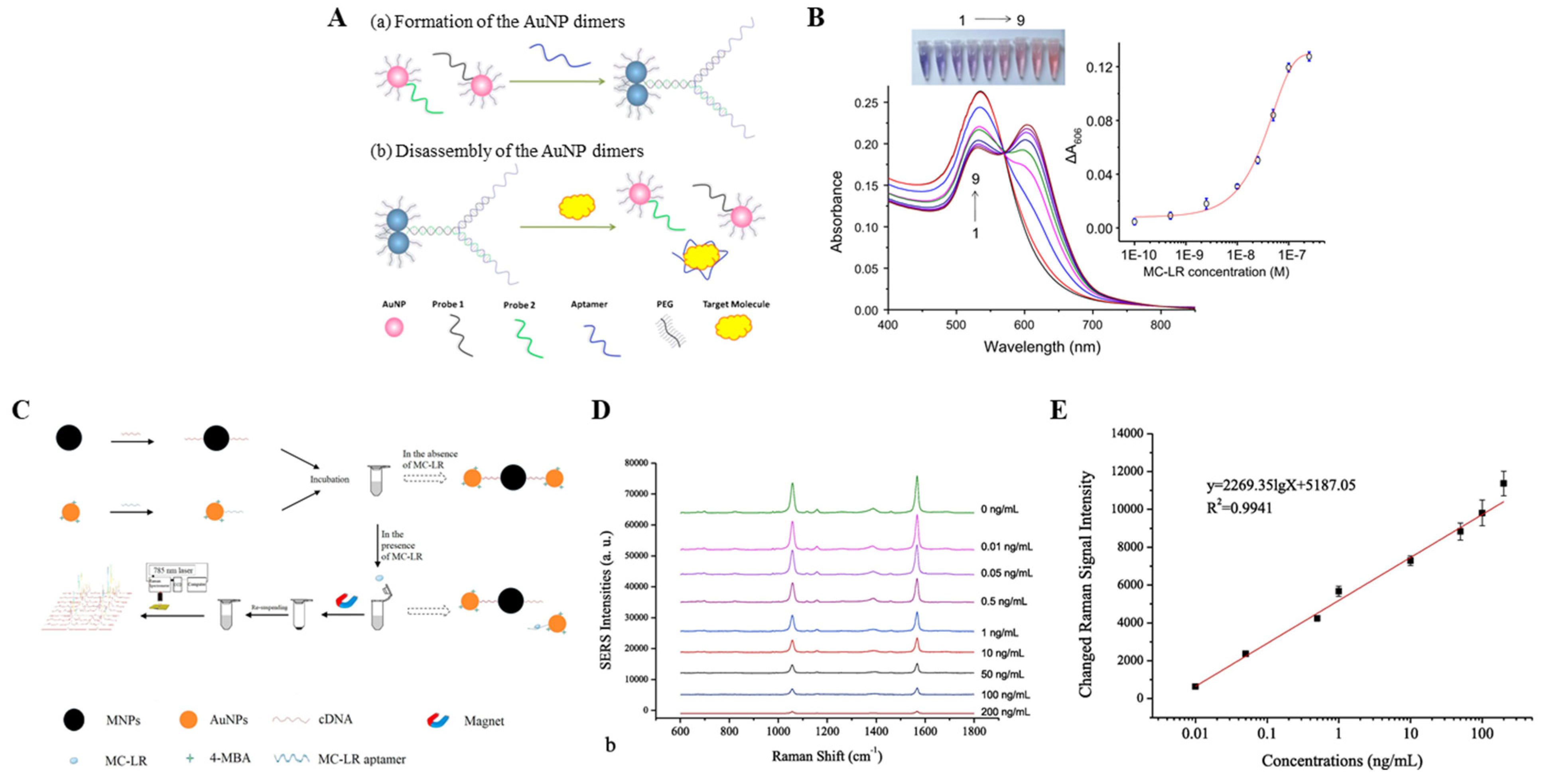 Biosensors 11 00525 g002