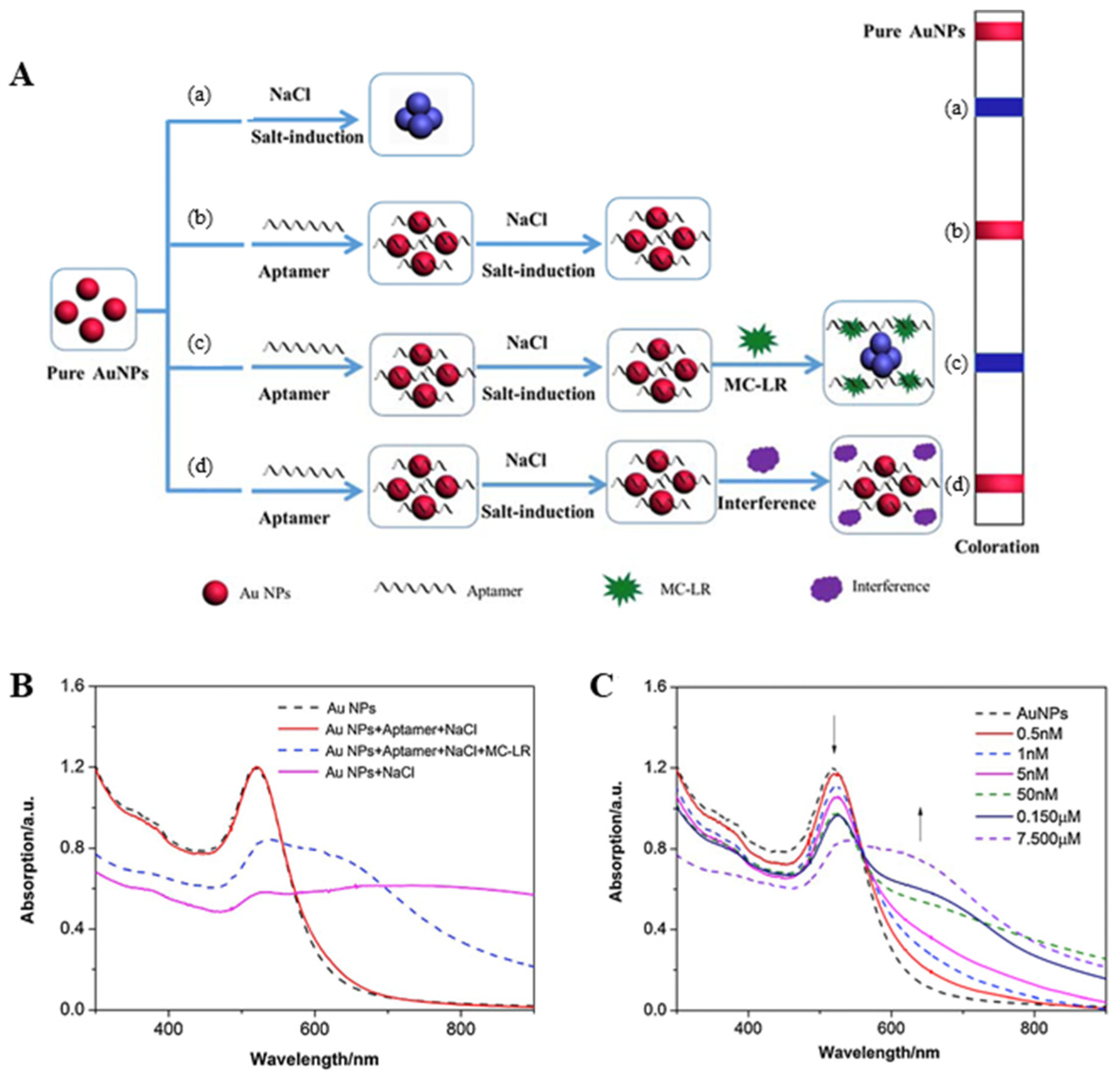 Biosensors 11 00525 g003