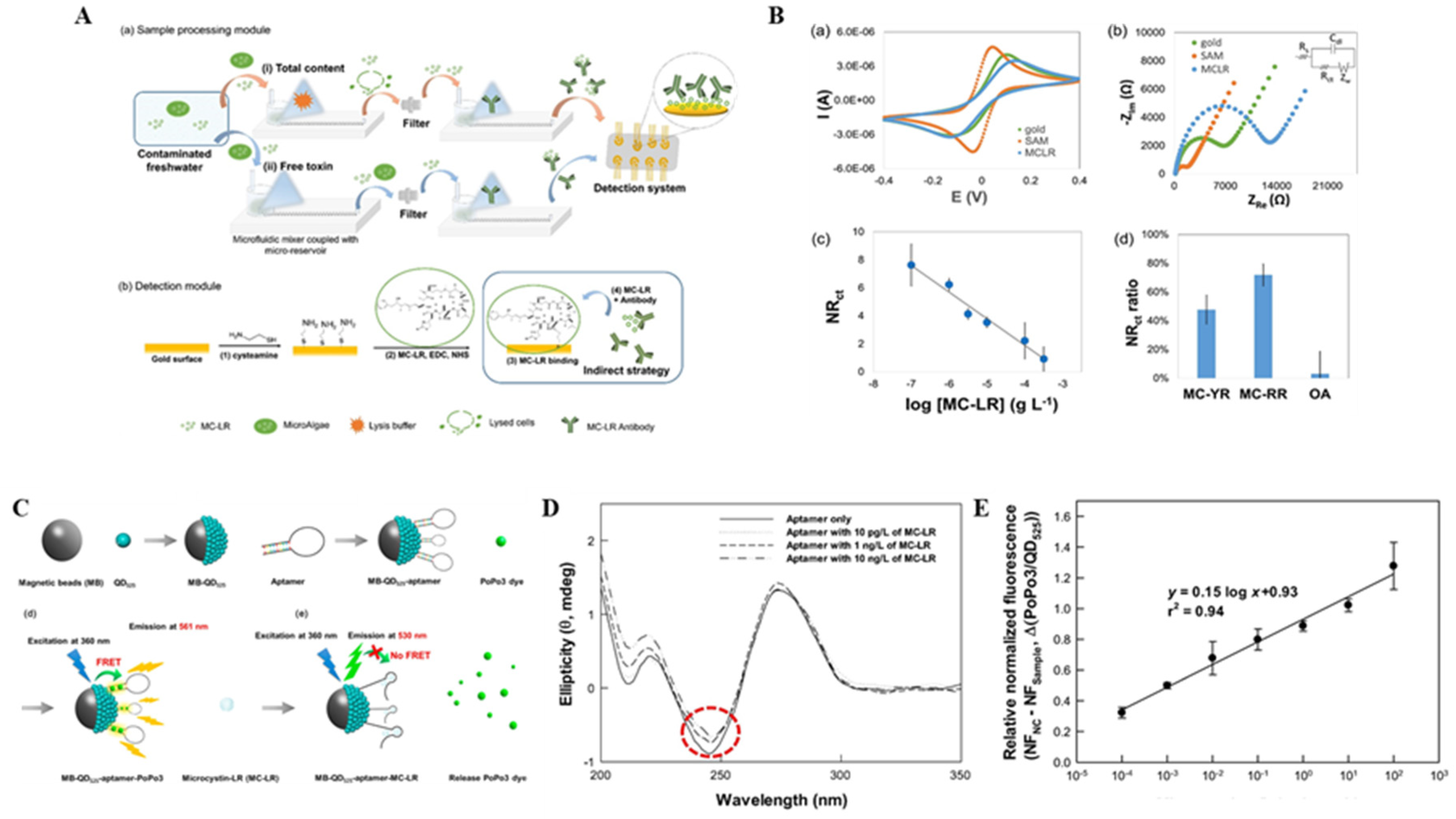 Biosensors 11 00525 g006
