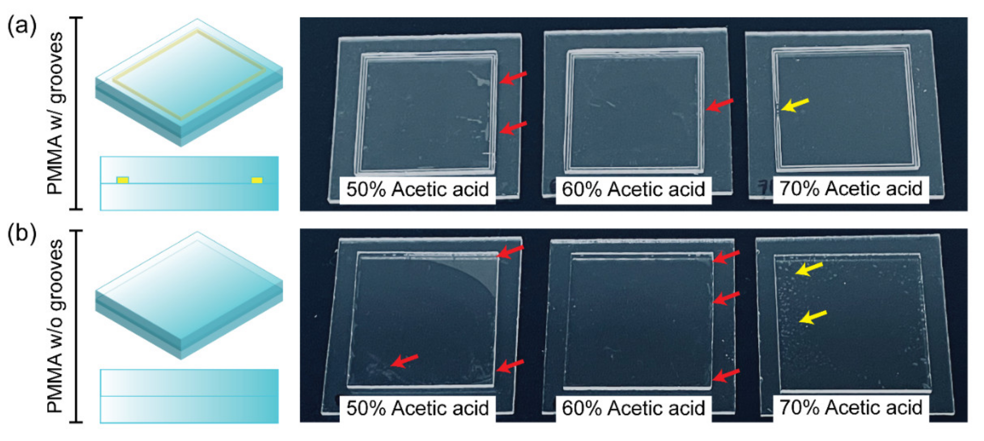 Biosensors 11 00526 g003