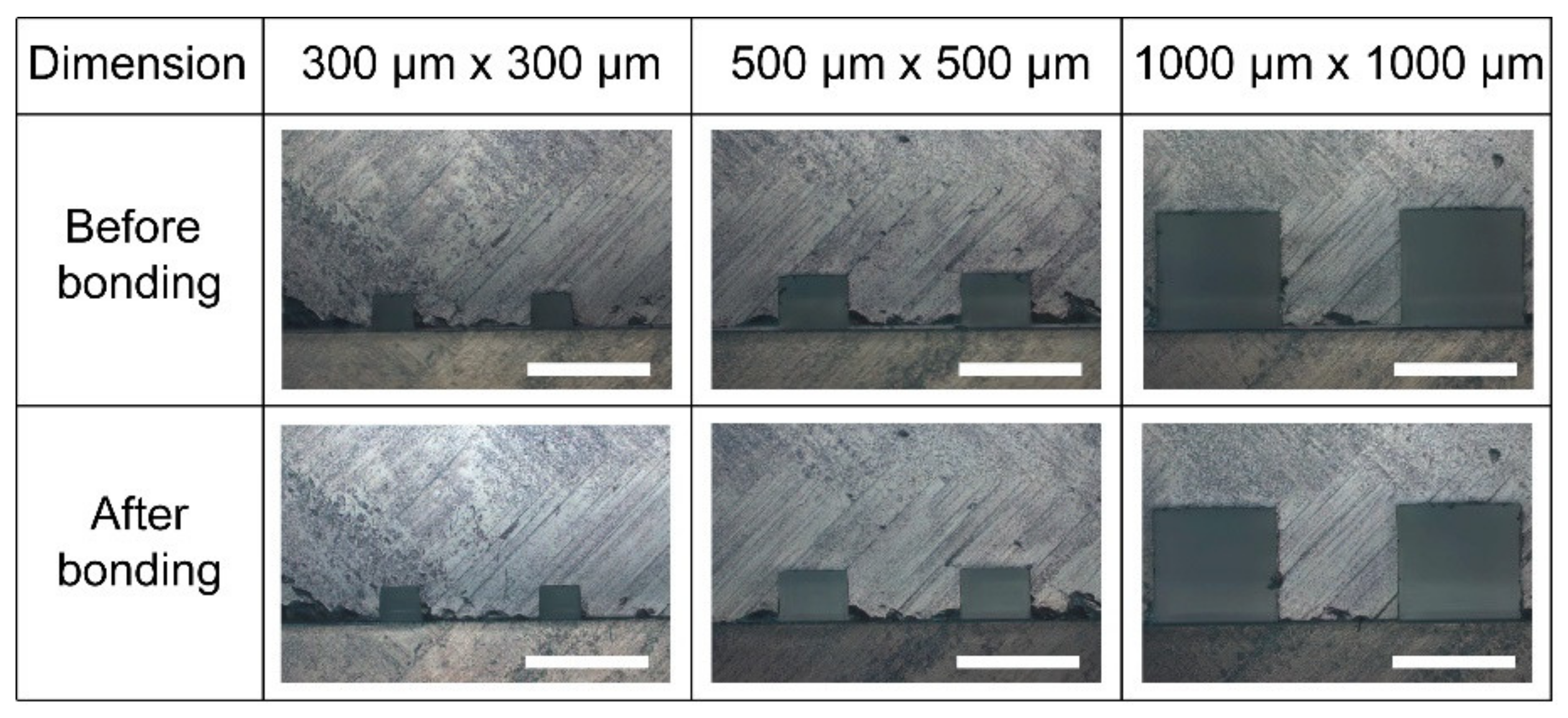 Biosensors 11 00526 g005