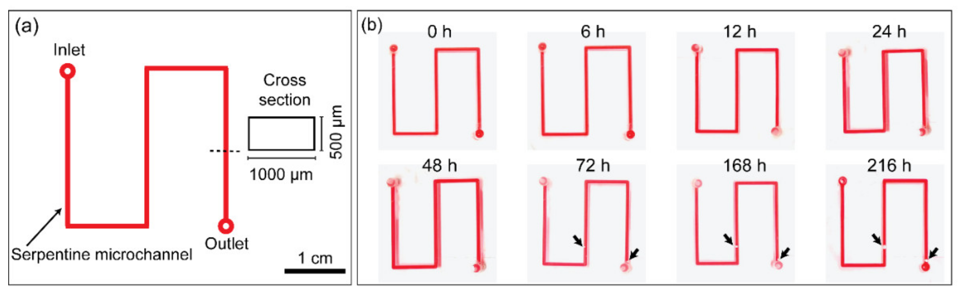 Biosensors 11 00526 g006