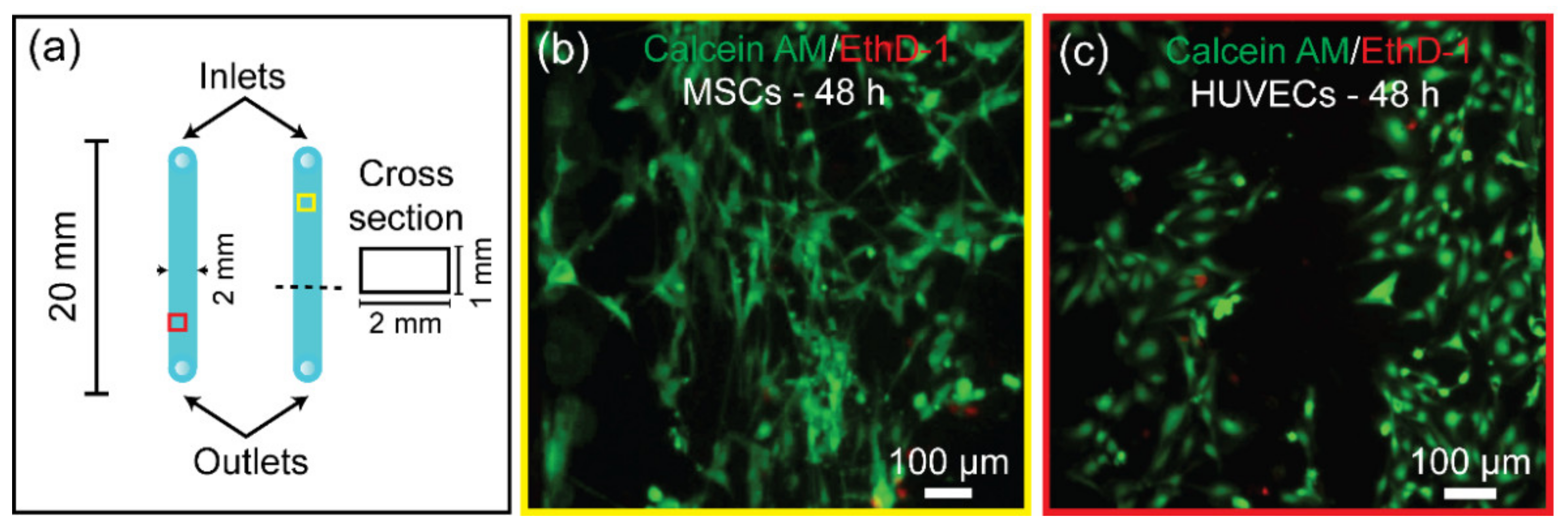 Biosensors 11 00526 g008
