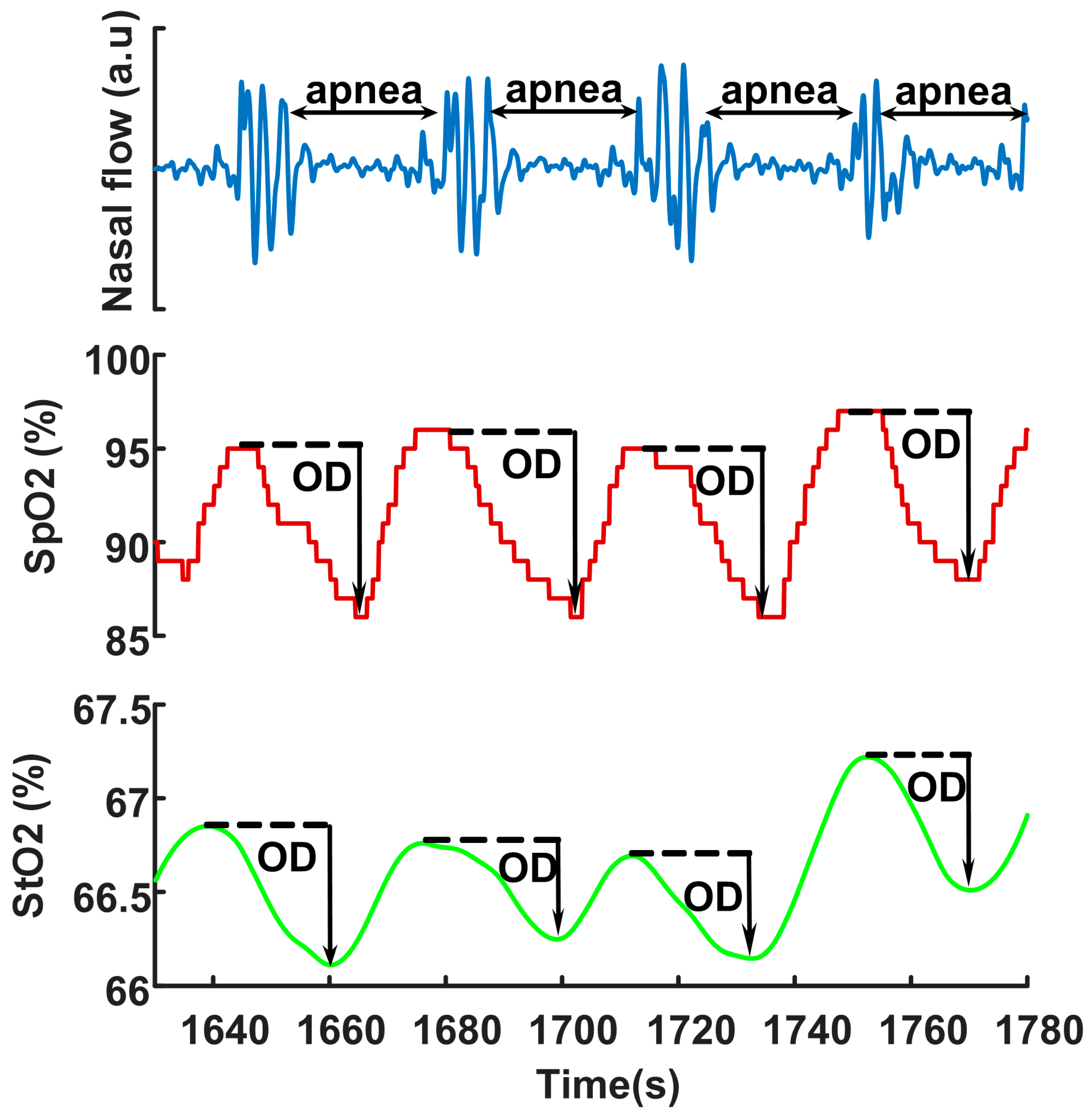 Biosensors 12 00003 g002