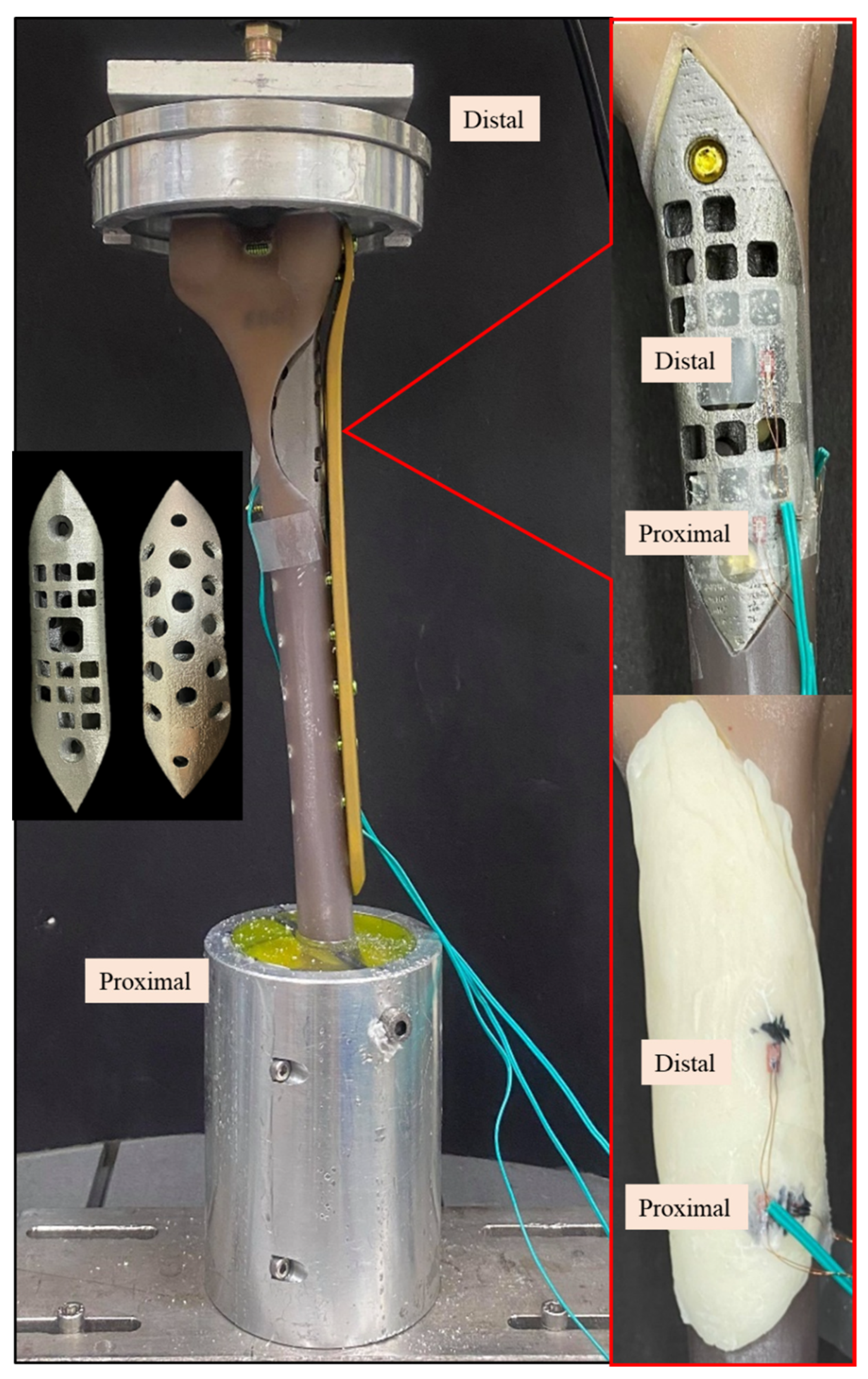 Biosensors 12 00004 g006