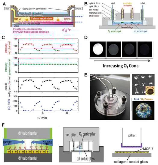 Biosensors 12 00006 g001 550