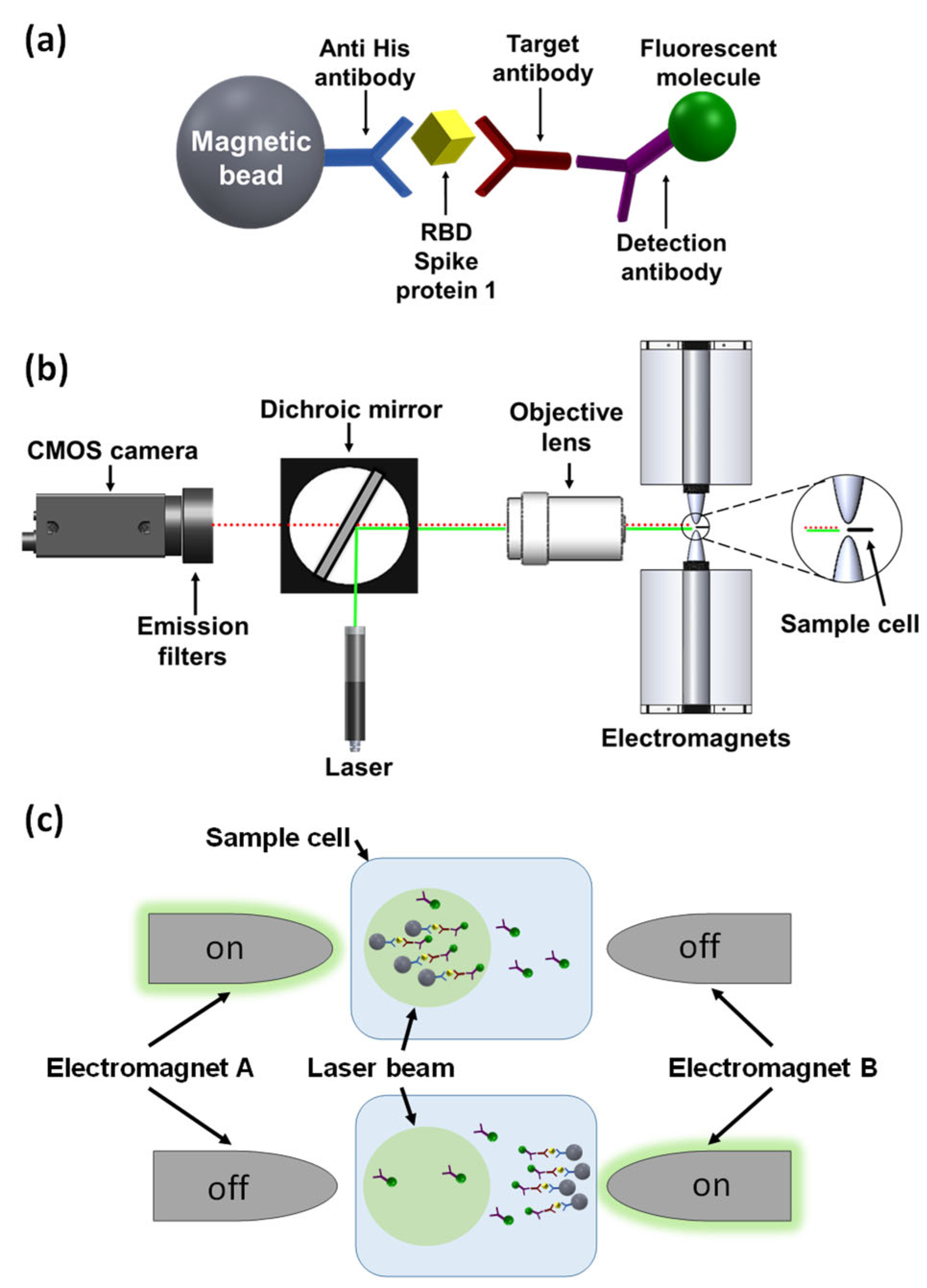 Biosensors 12 00007 g001