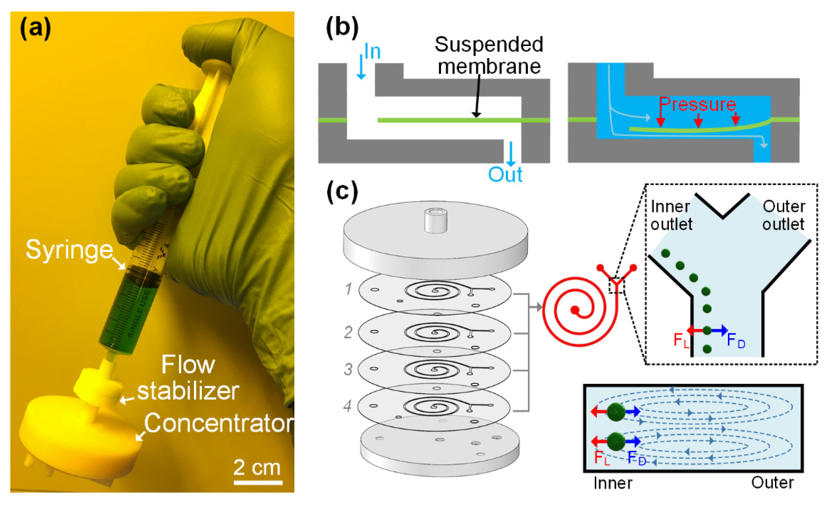 Biosensors 12 00014 g001