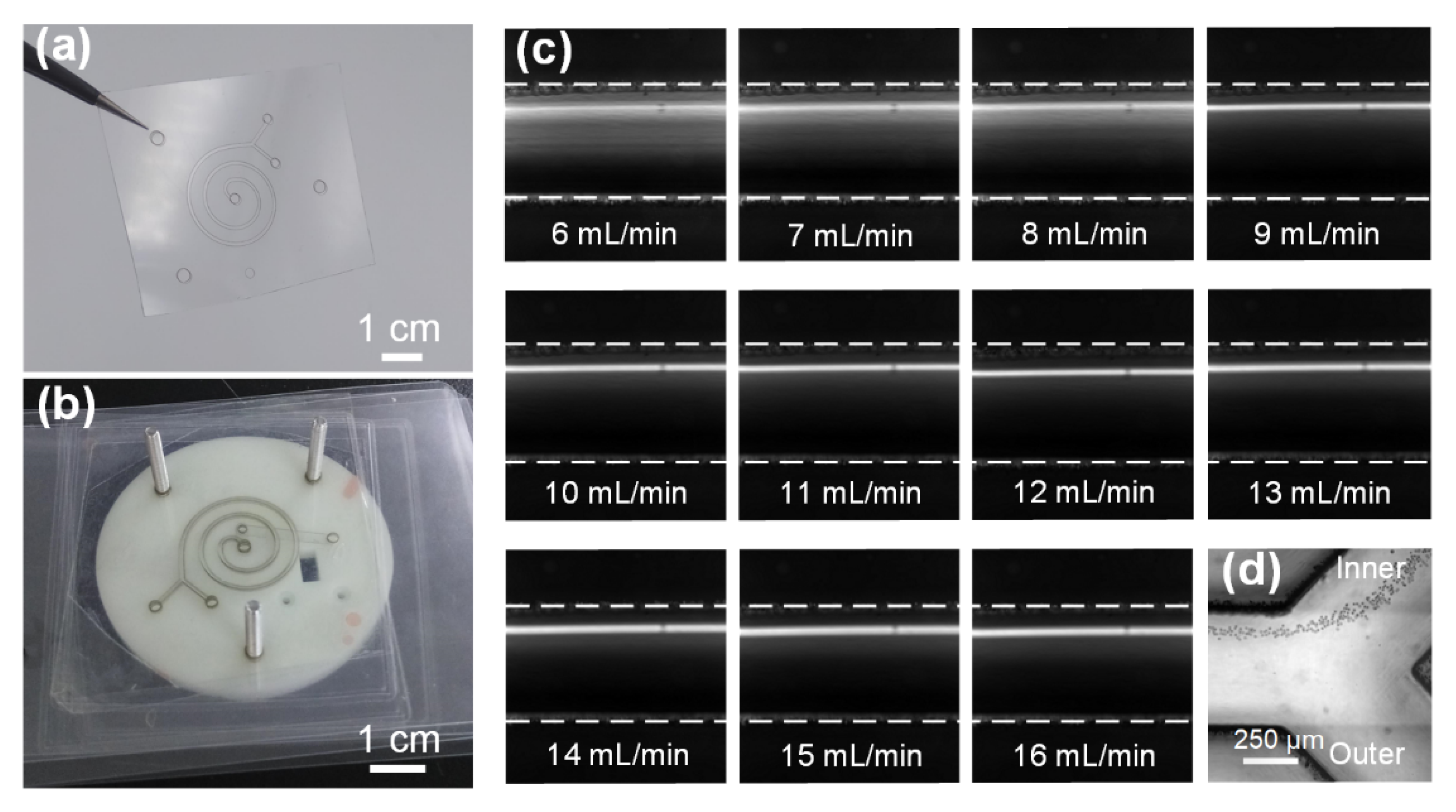 Biosensors 12 00014 g002