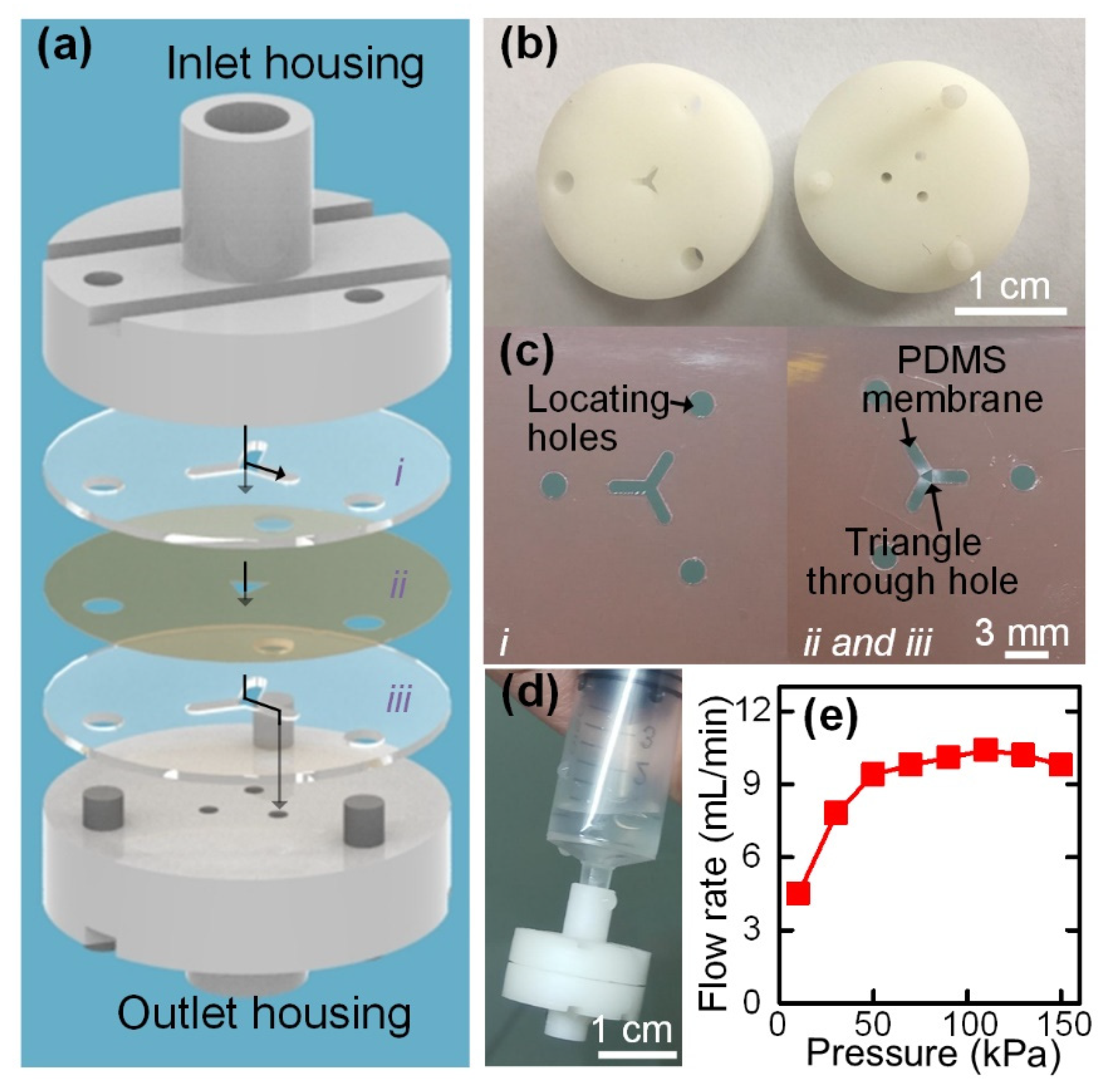 Biosensors 12 00014 g004