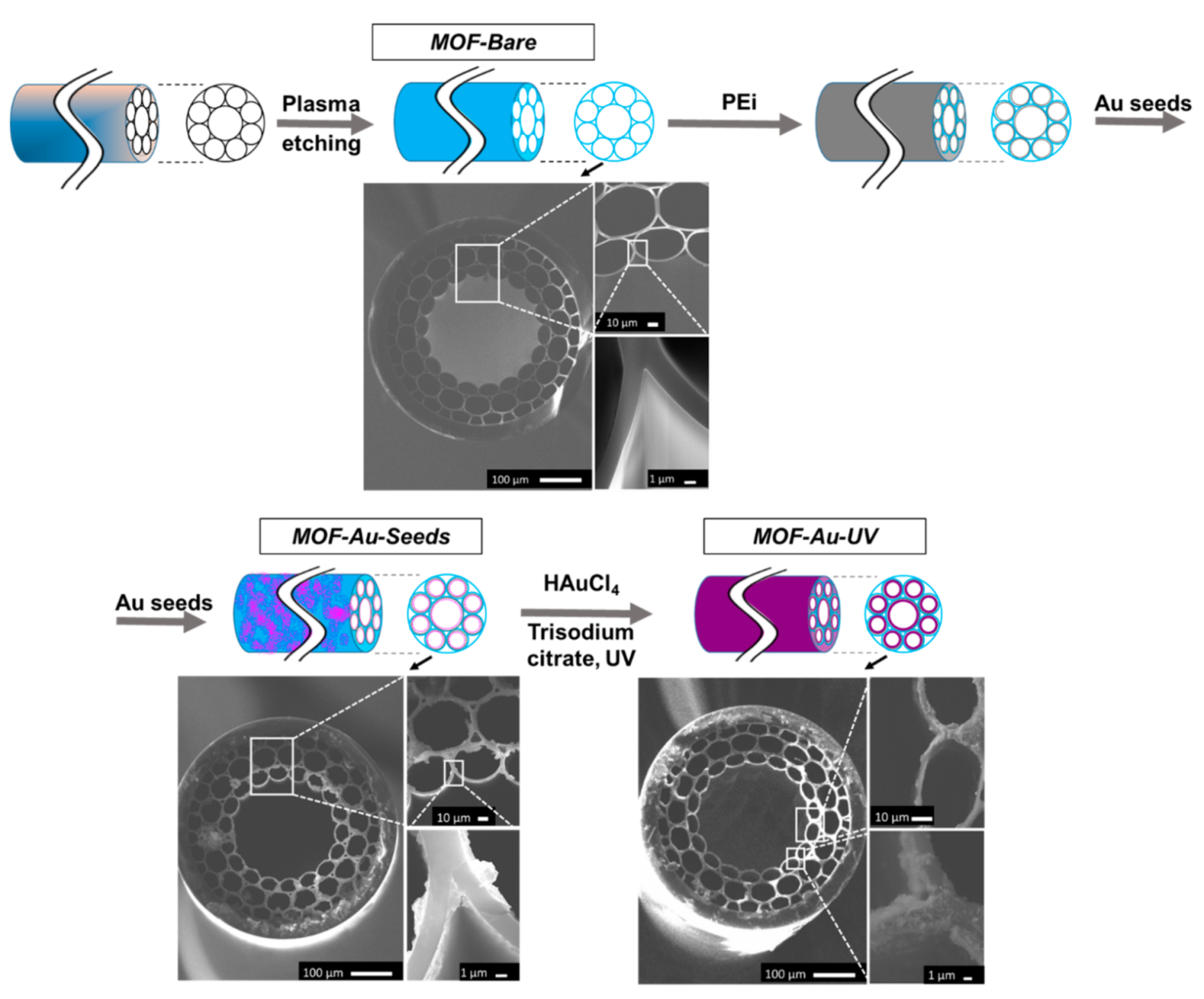 Biosensors 12 00019 g004