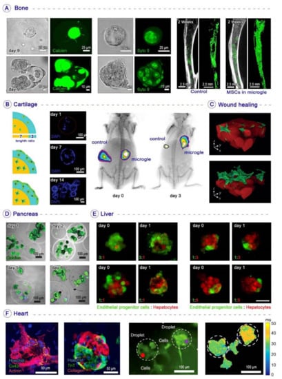 Biosensors 12 00020 g005