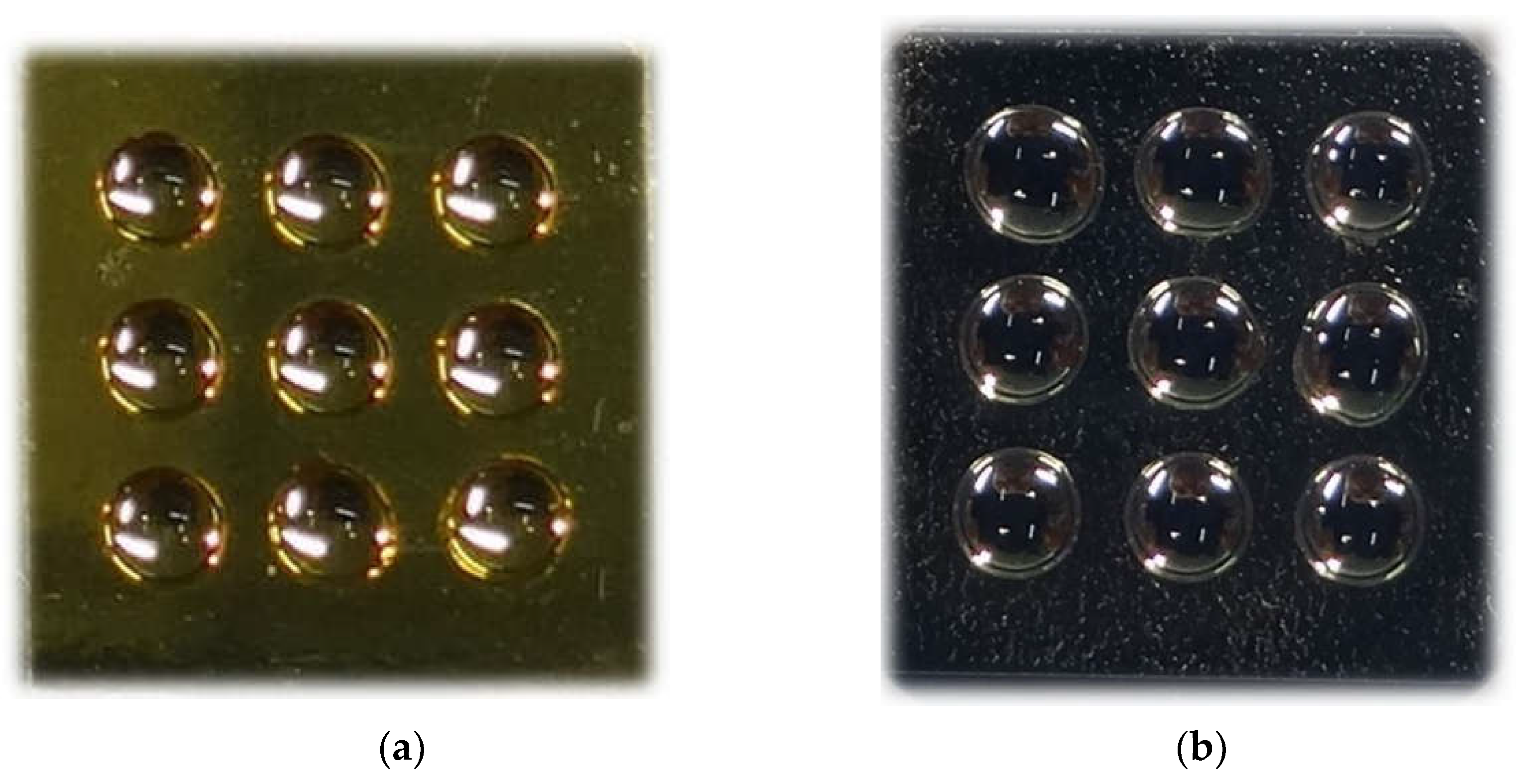 Biosensors 12 00021 g001