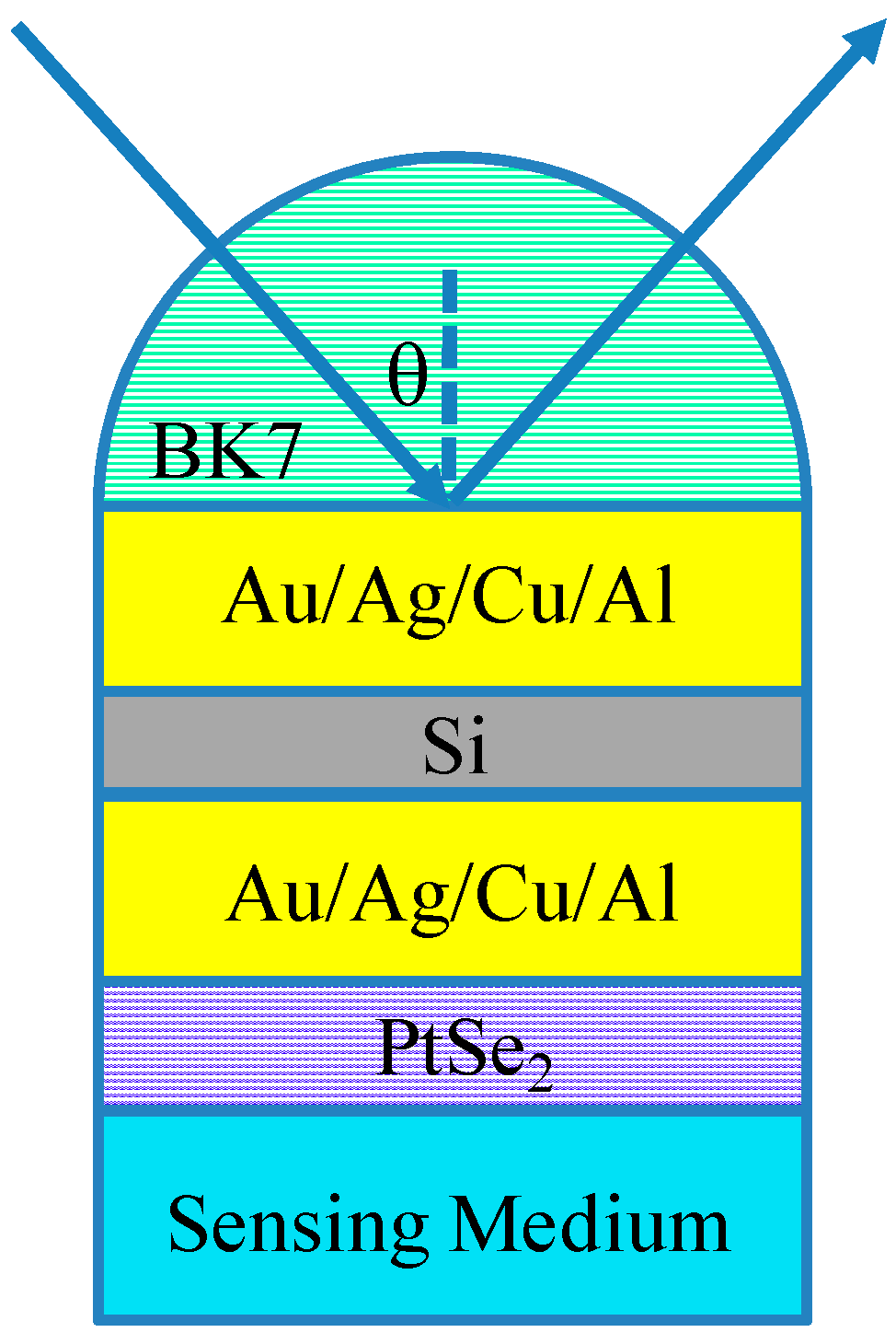 Biosensors 12 00027 g001