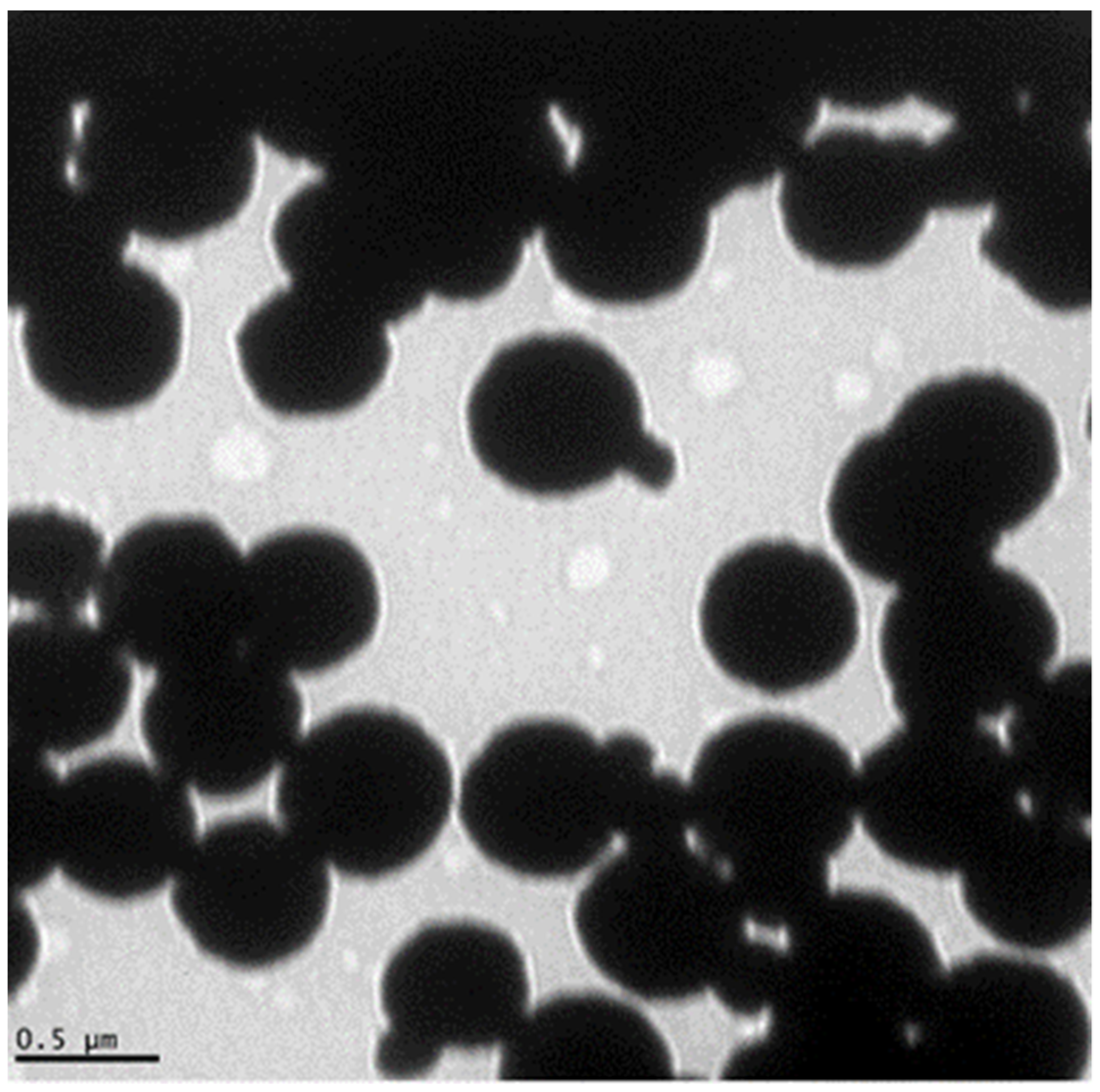 Biosensors 12 00029 g001