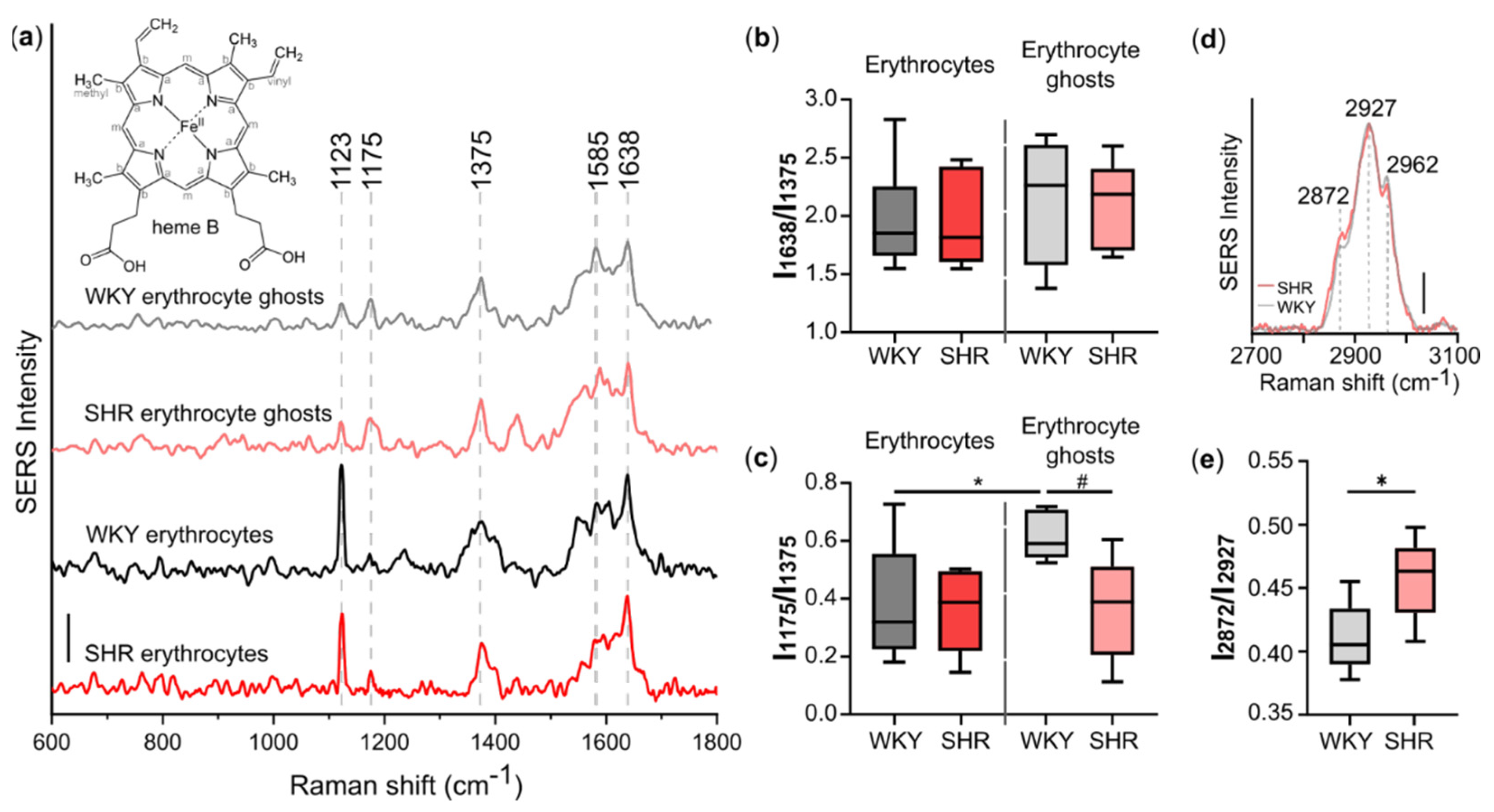 Biosensors 12 00032 g003