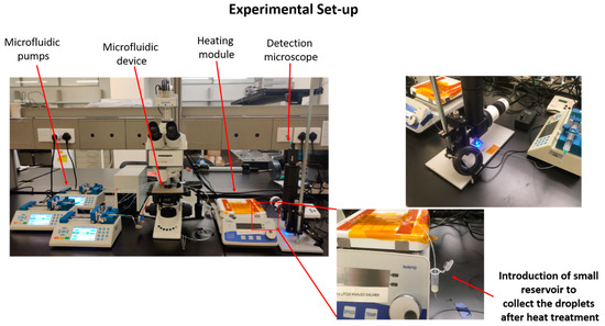 Biosensors 12 00034 g0a1 550