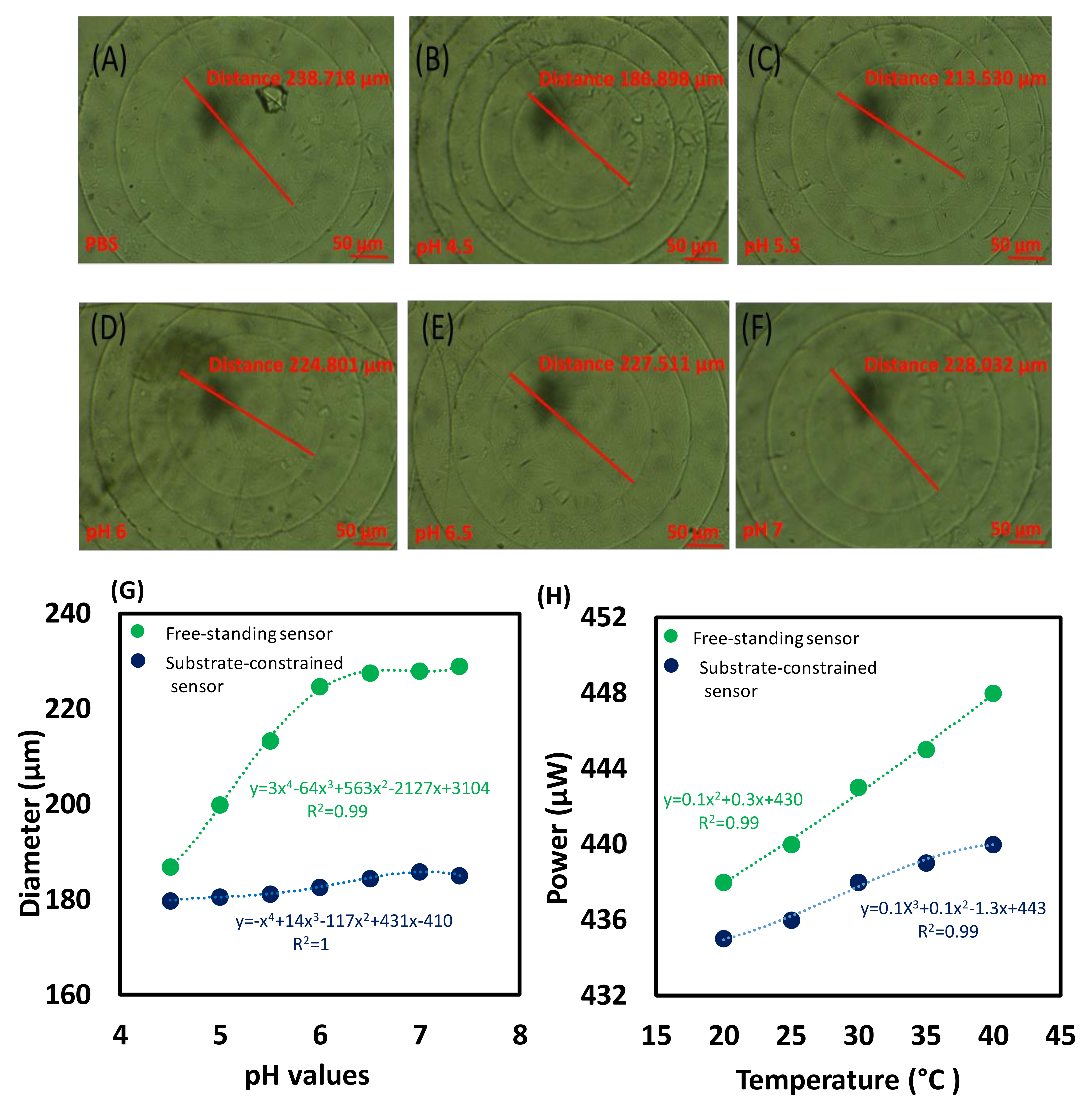 Biosensors 12 00040 g003