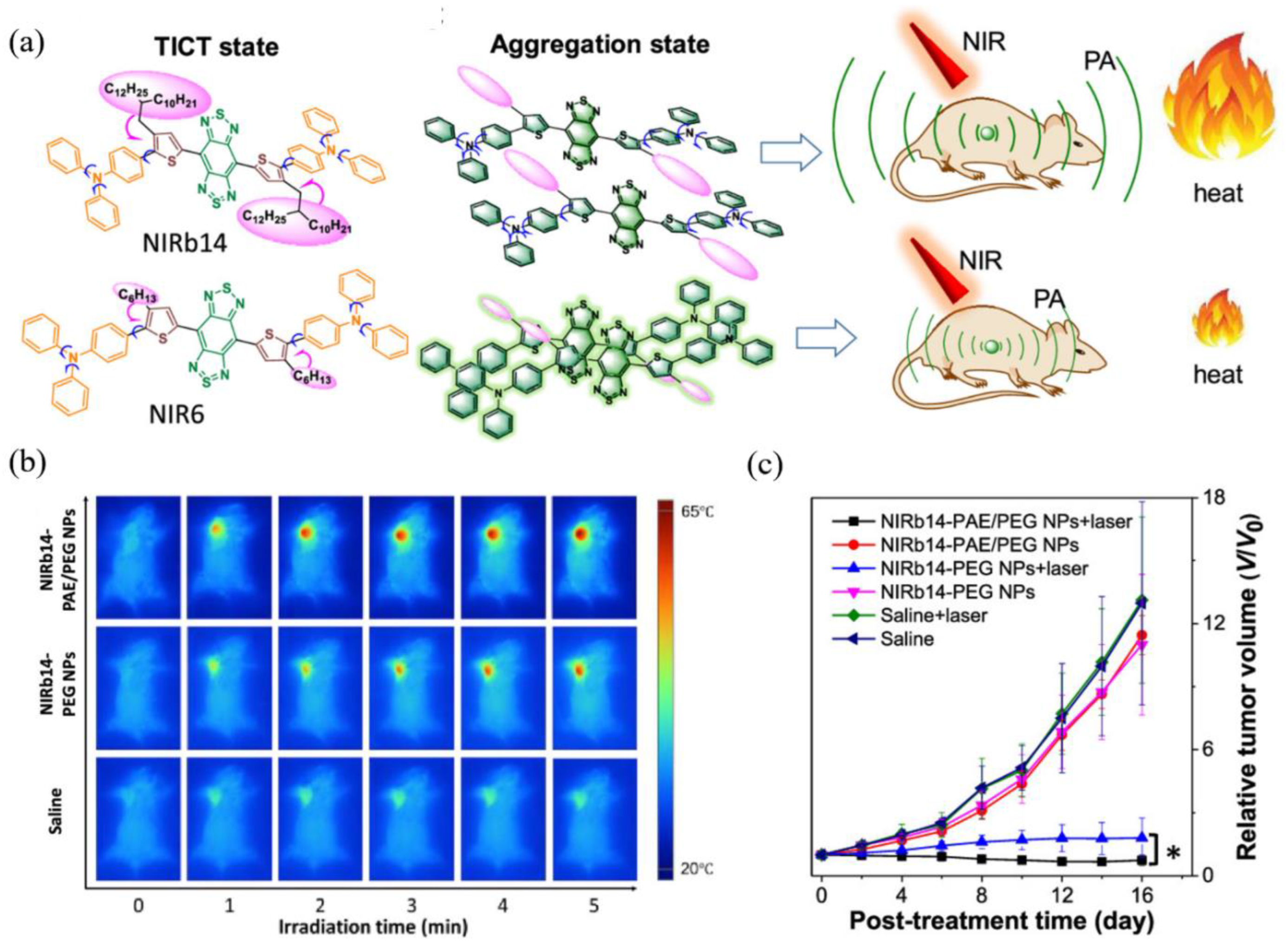 Biosensors 12 00046 g004