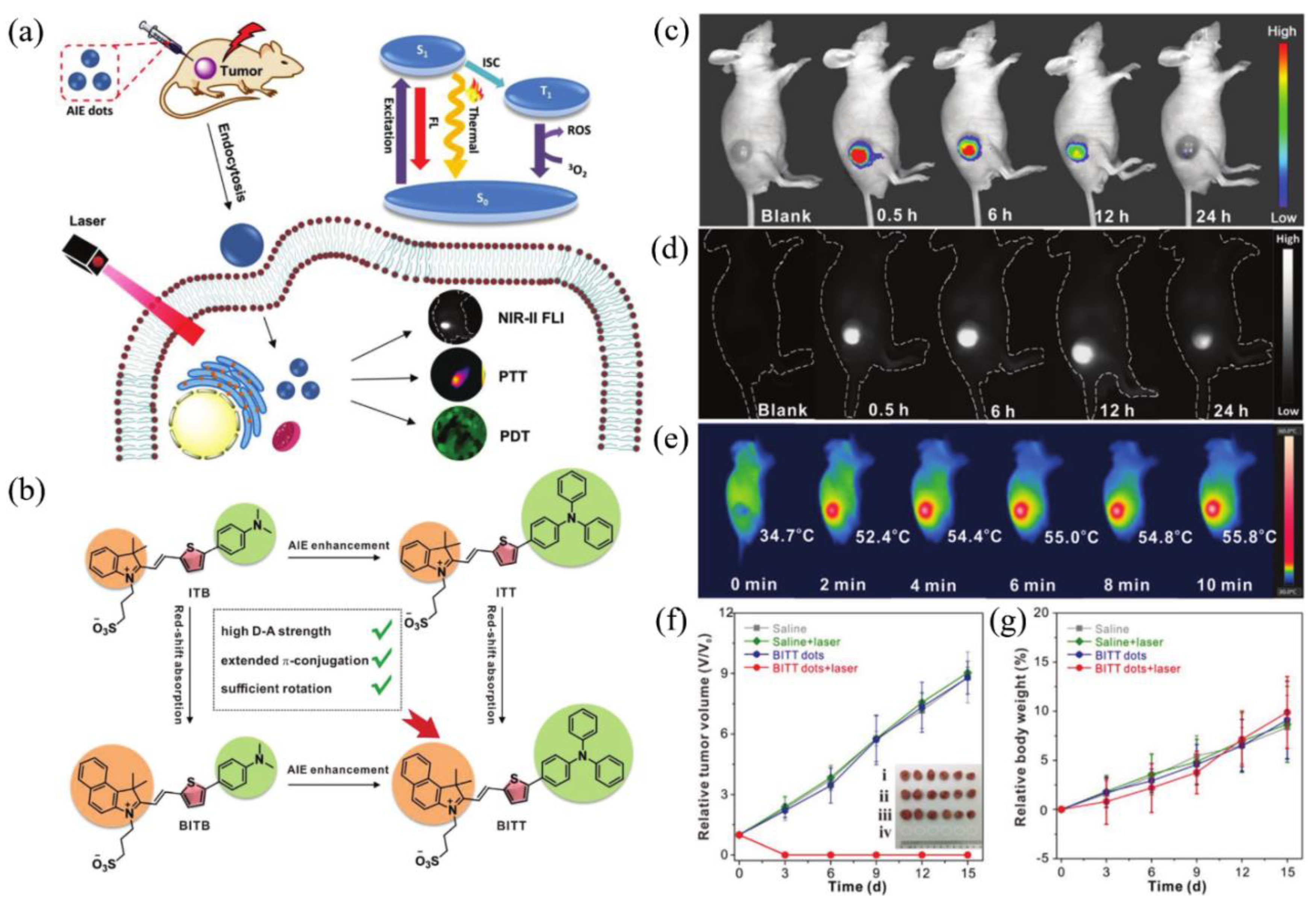 Biosensors 12 00046 g005