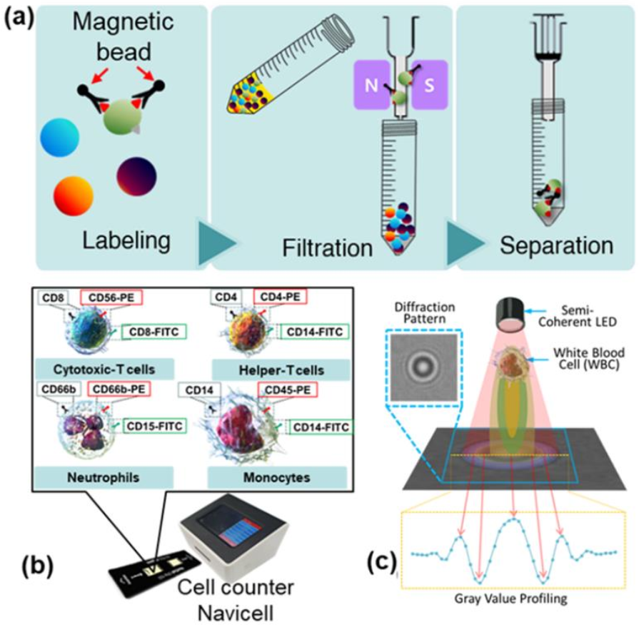 Biosensors 12 00047 g001