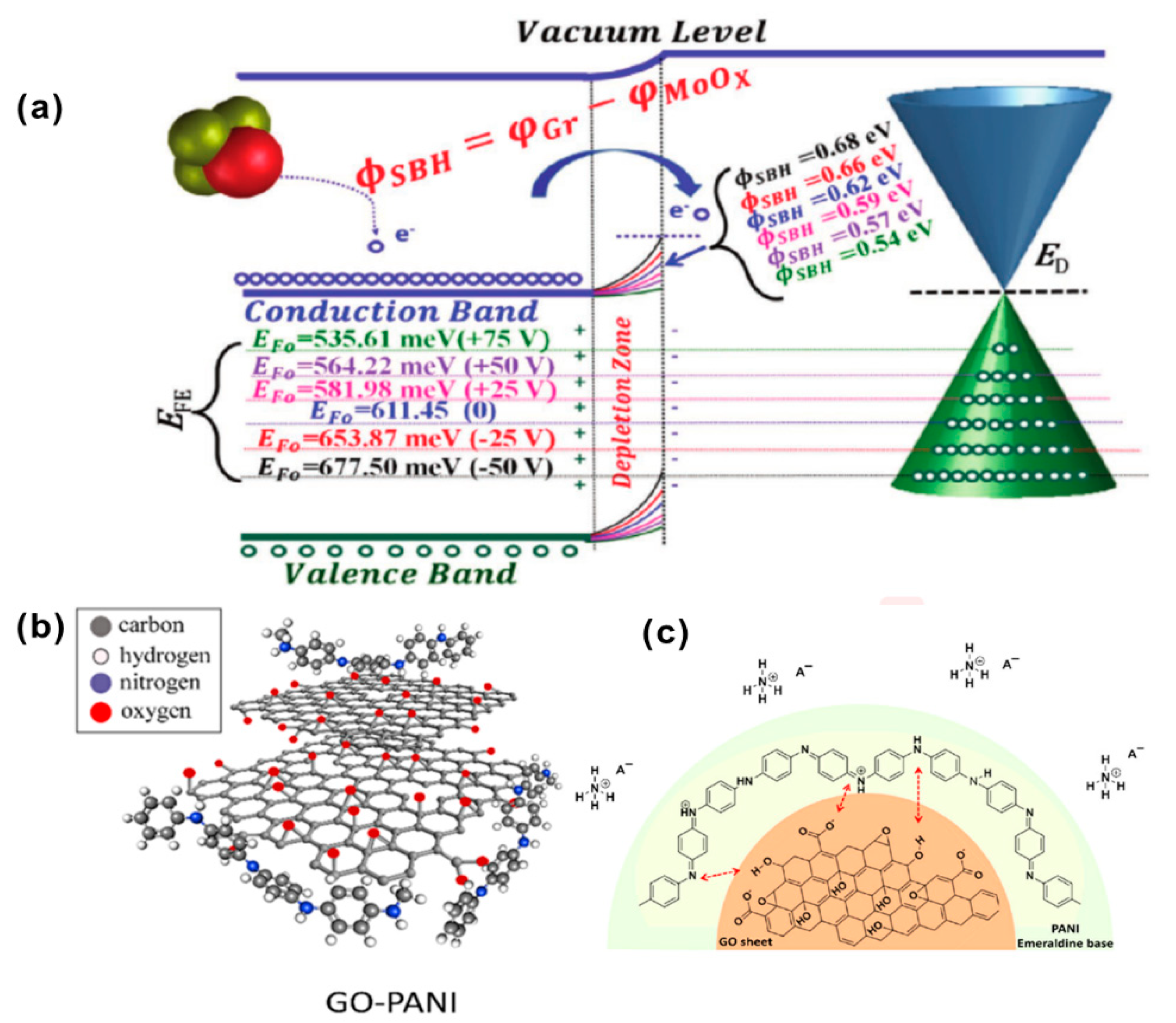Biosensors 12 00048 g007