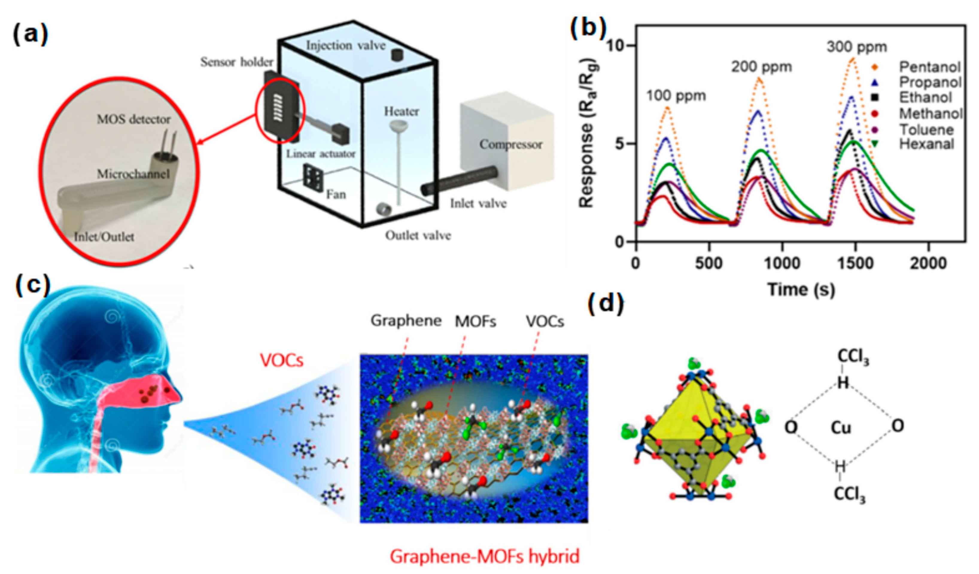 Biosensors 12 00048 g009