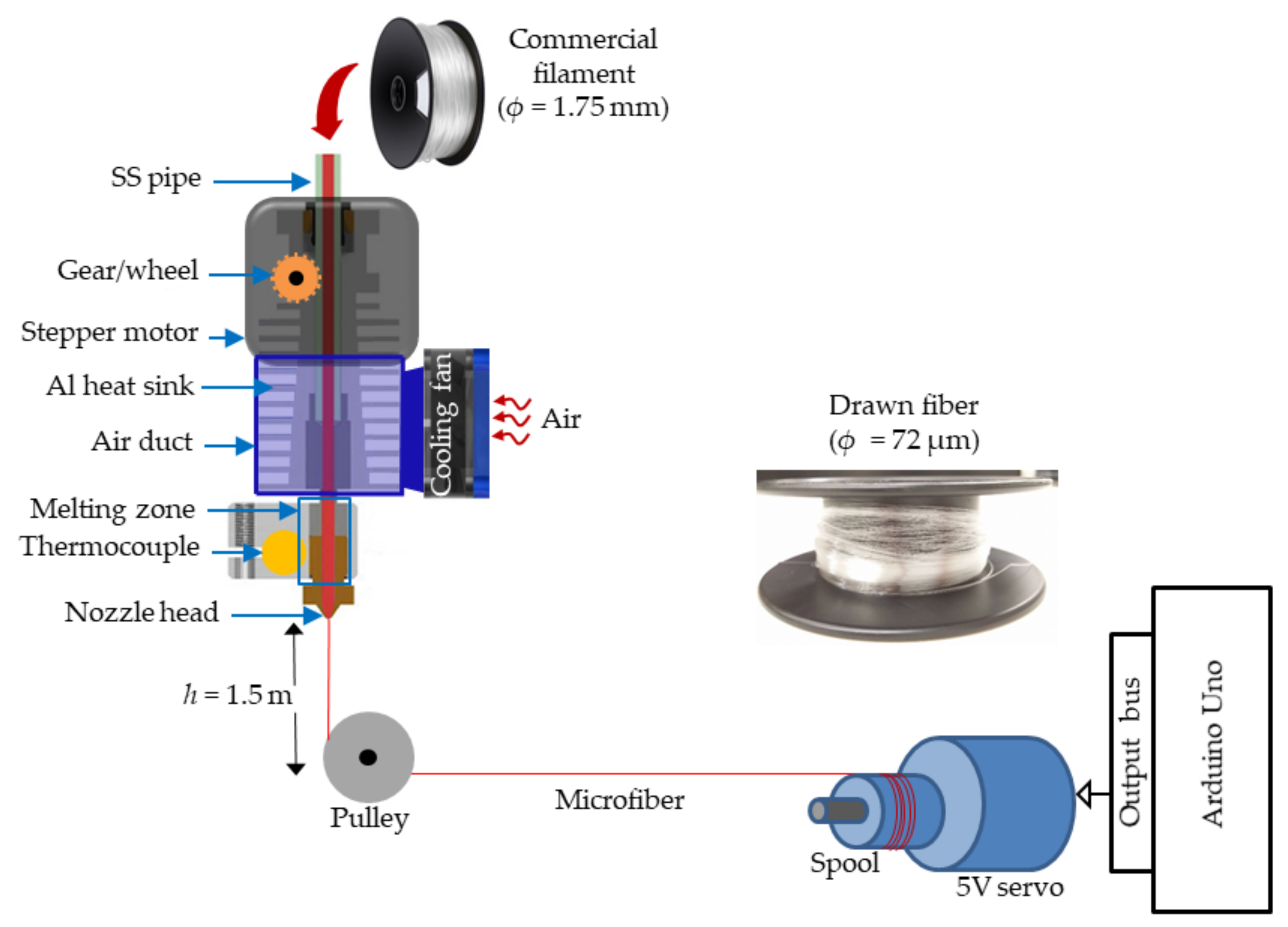 Biosensors 12 00054 g001