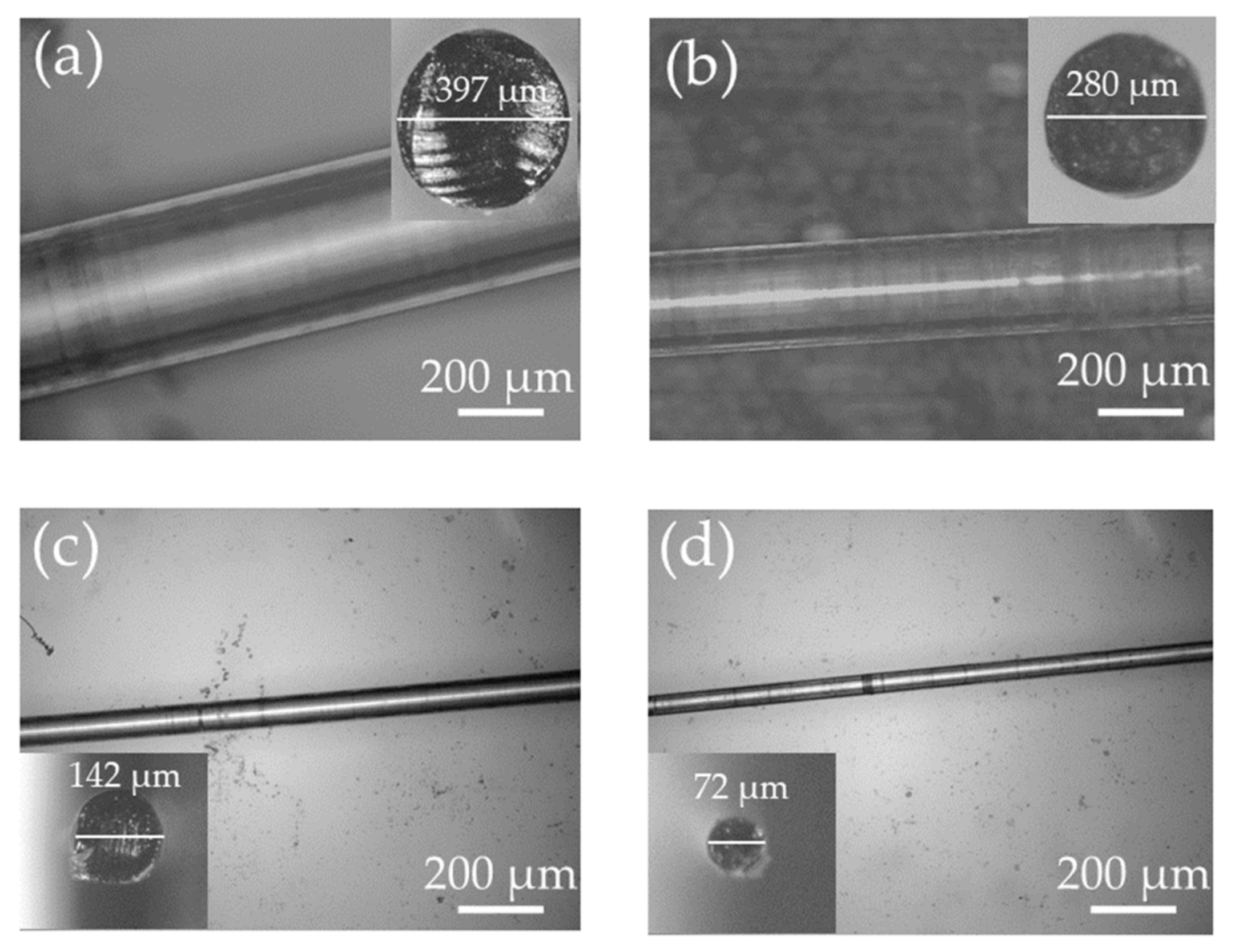 Biosensors 12 00054 g002