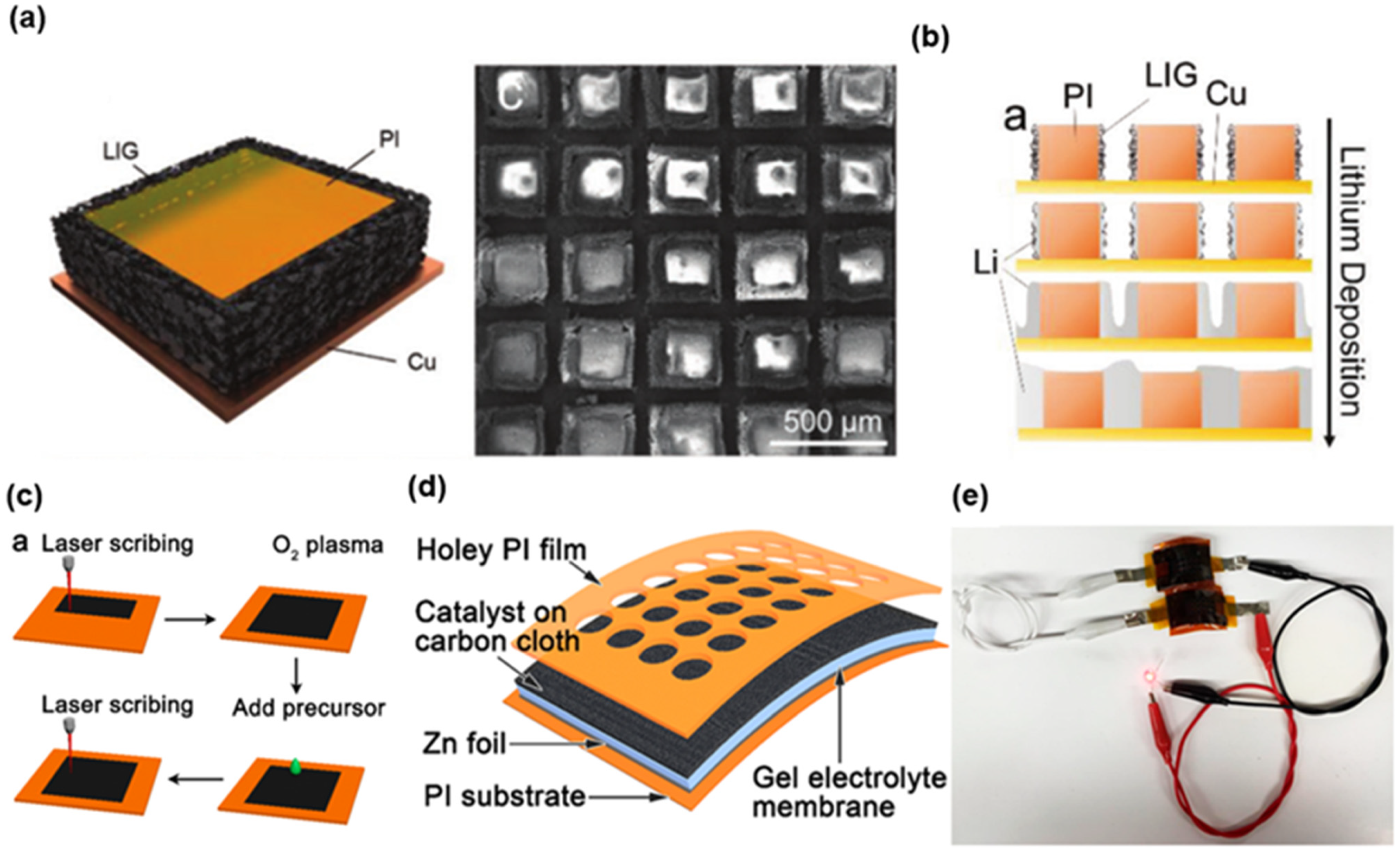 Biosensors 12 00055 g007