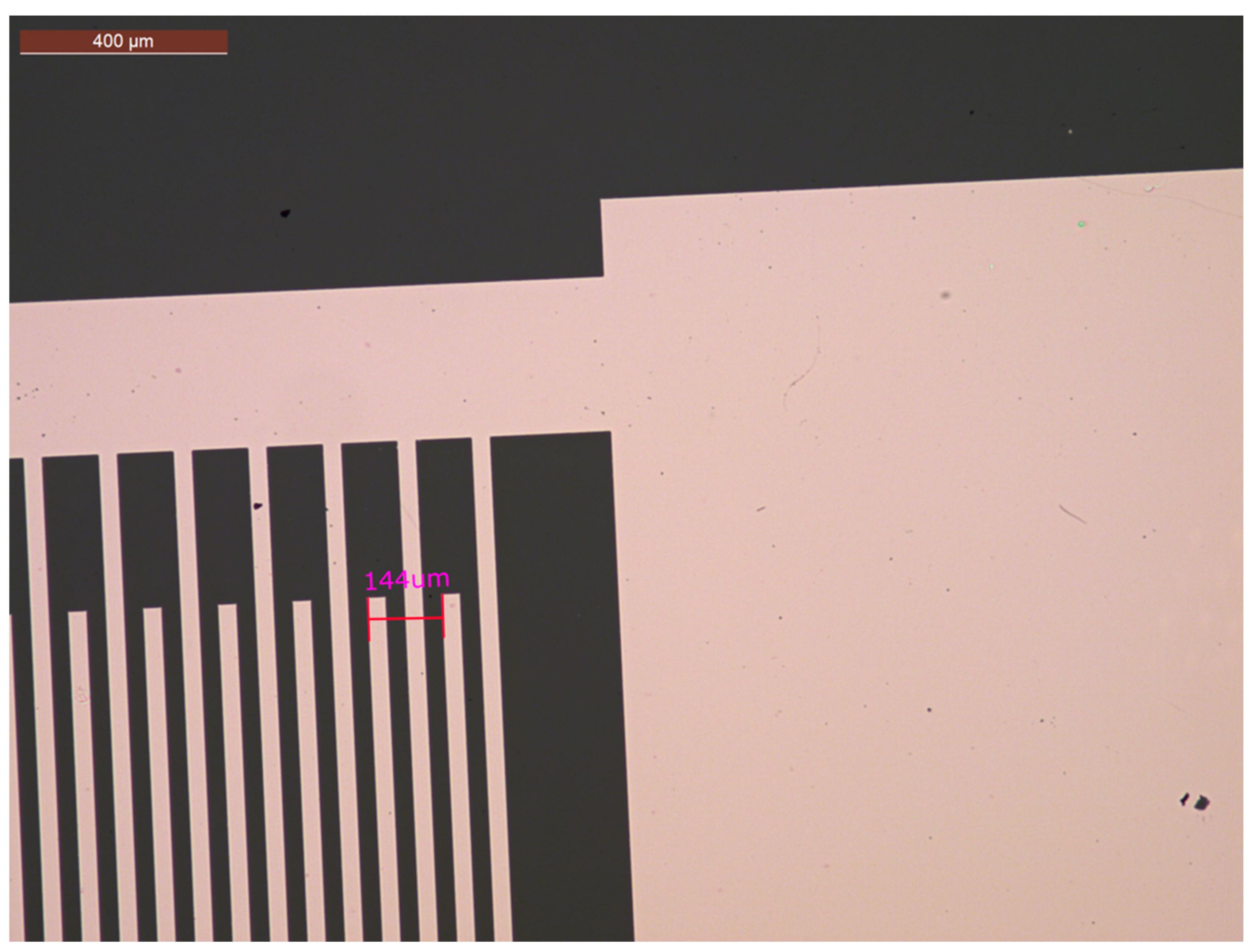 Biosensors 12 00061 g005 Biosensors 12 00061 g005