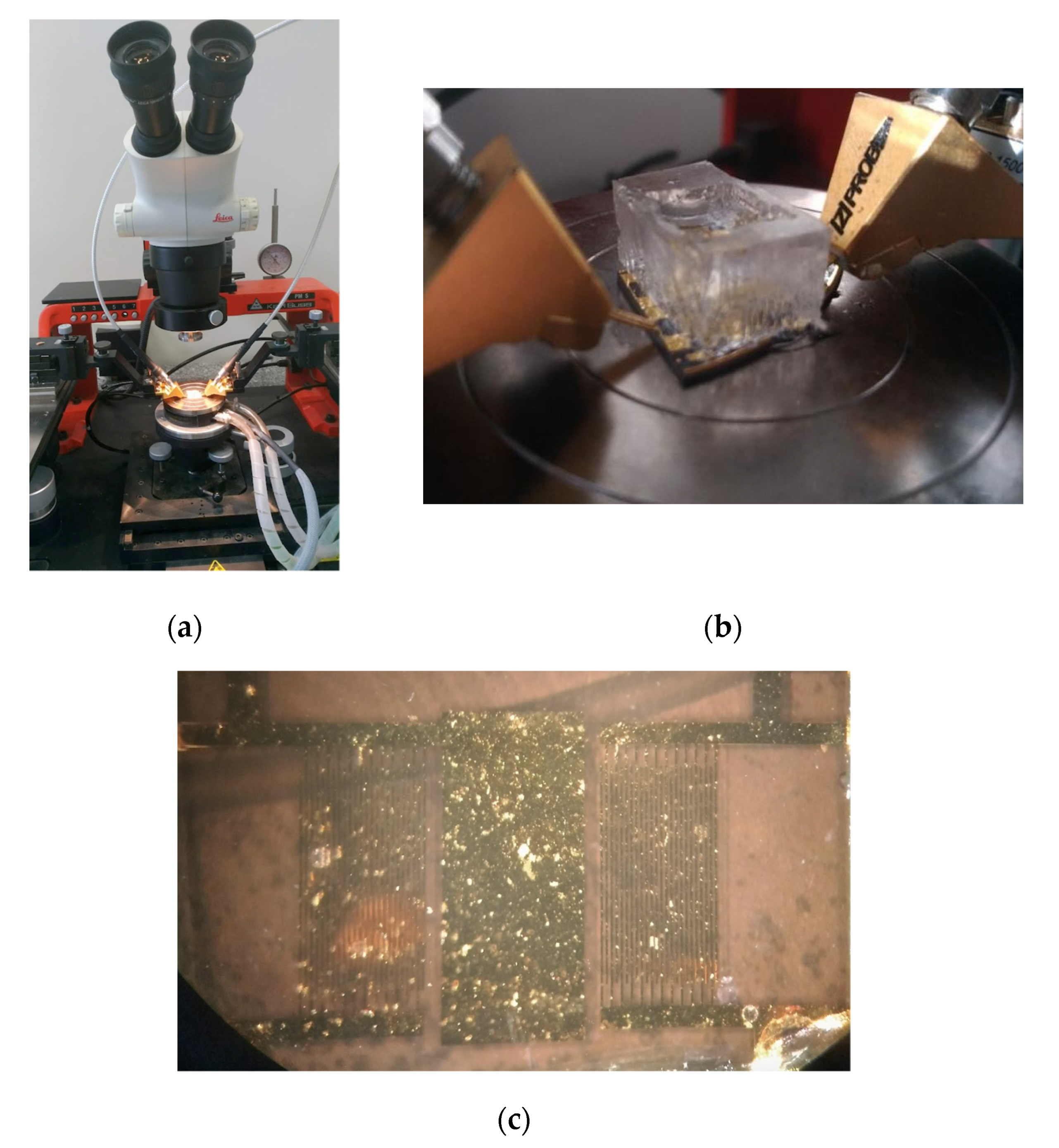 Biosensors 12 00061 g007 Biosensors 12 00061 g007