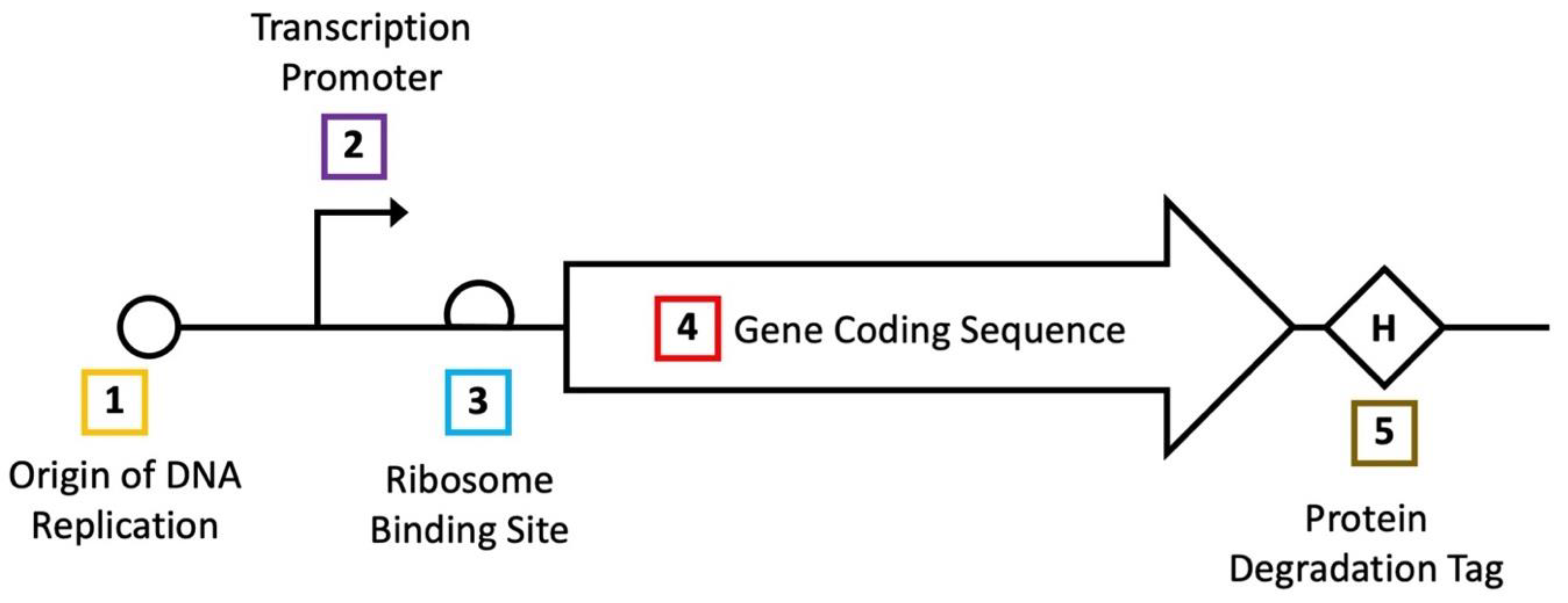 Biosensors 12 00064 g004