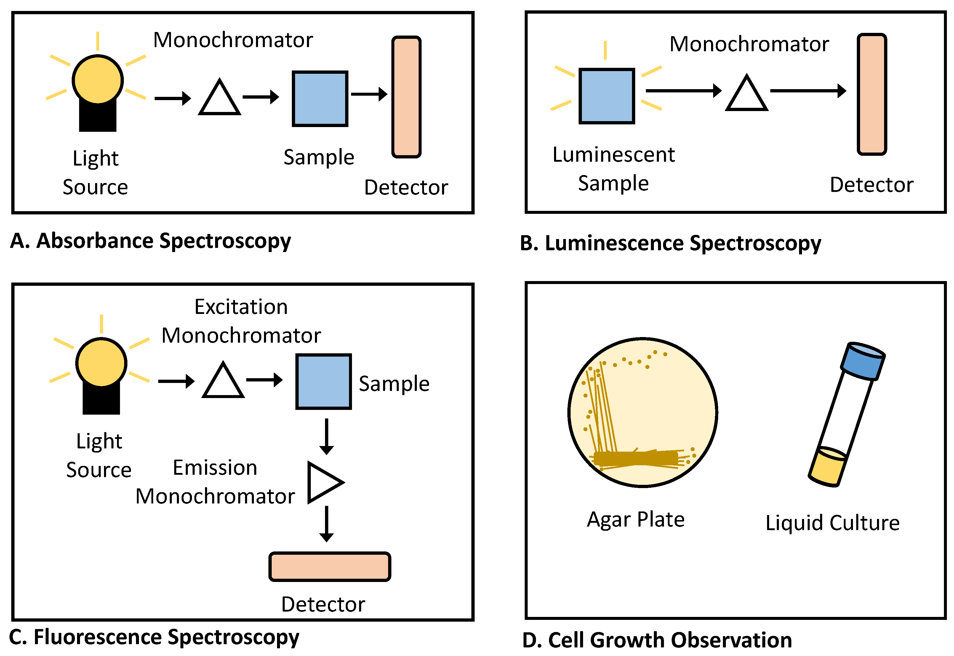 Biosensors 12 00064 g005