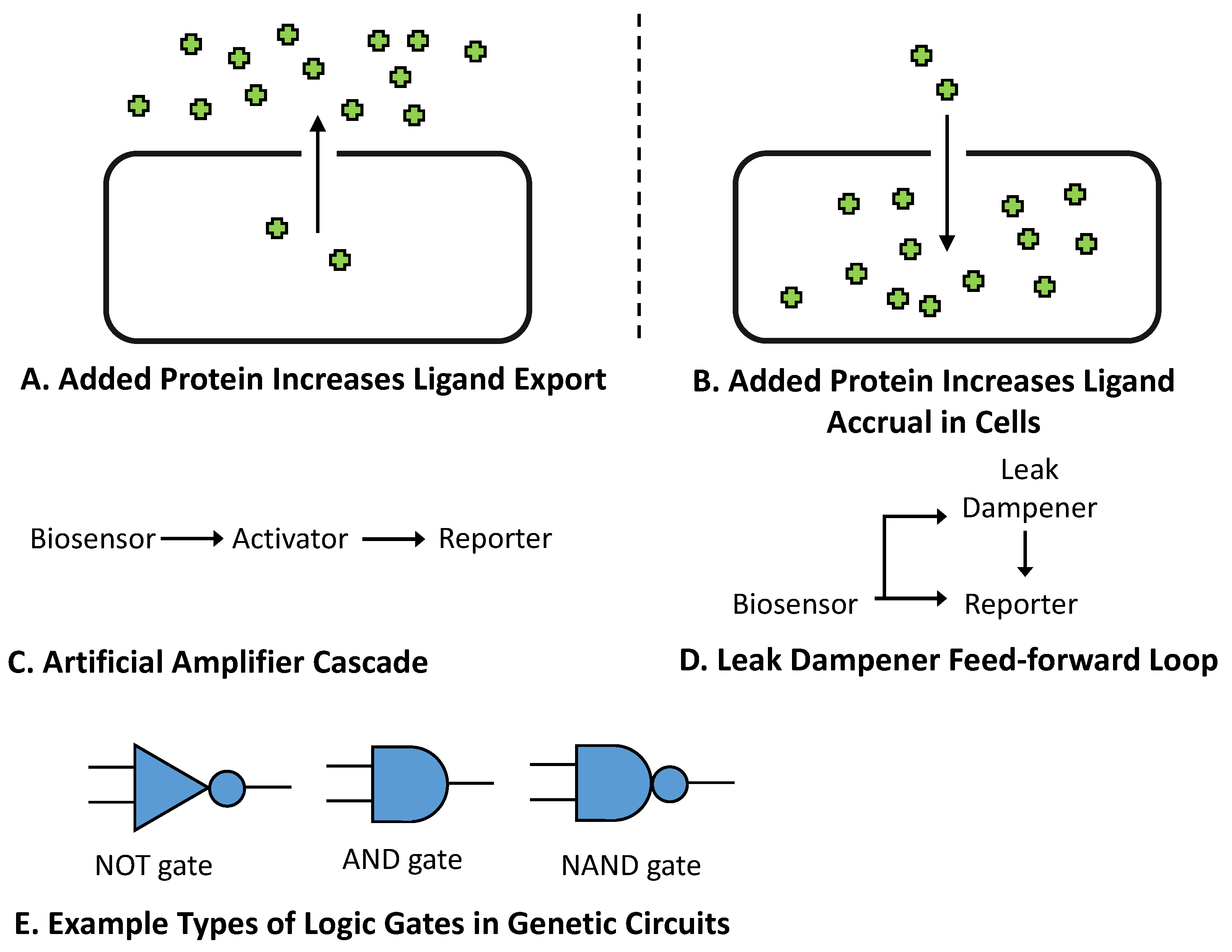 Biosensors 12 00064 g006