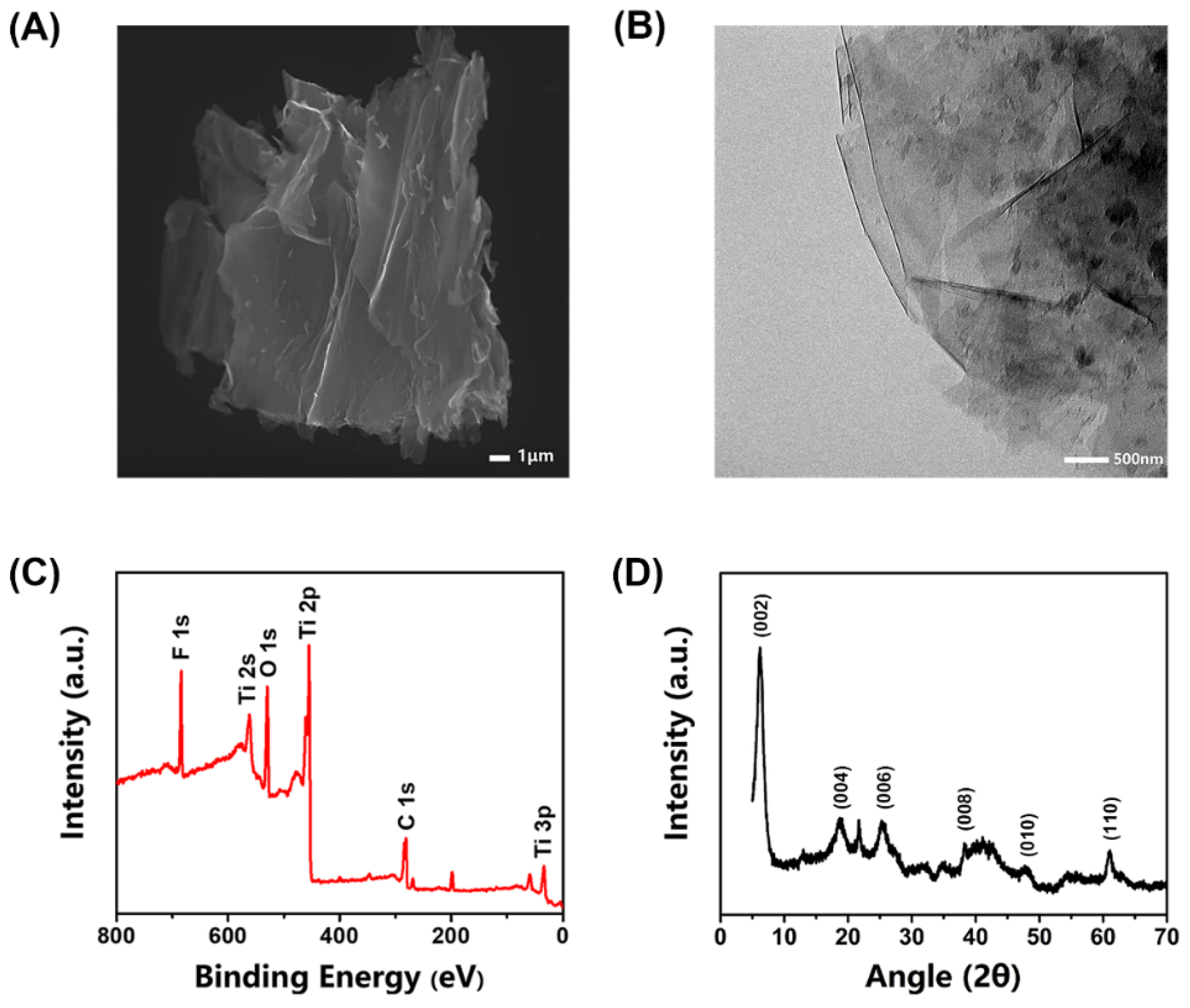 Biosensors 12 00066 g001