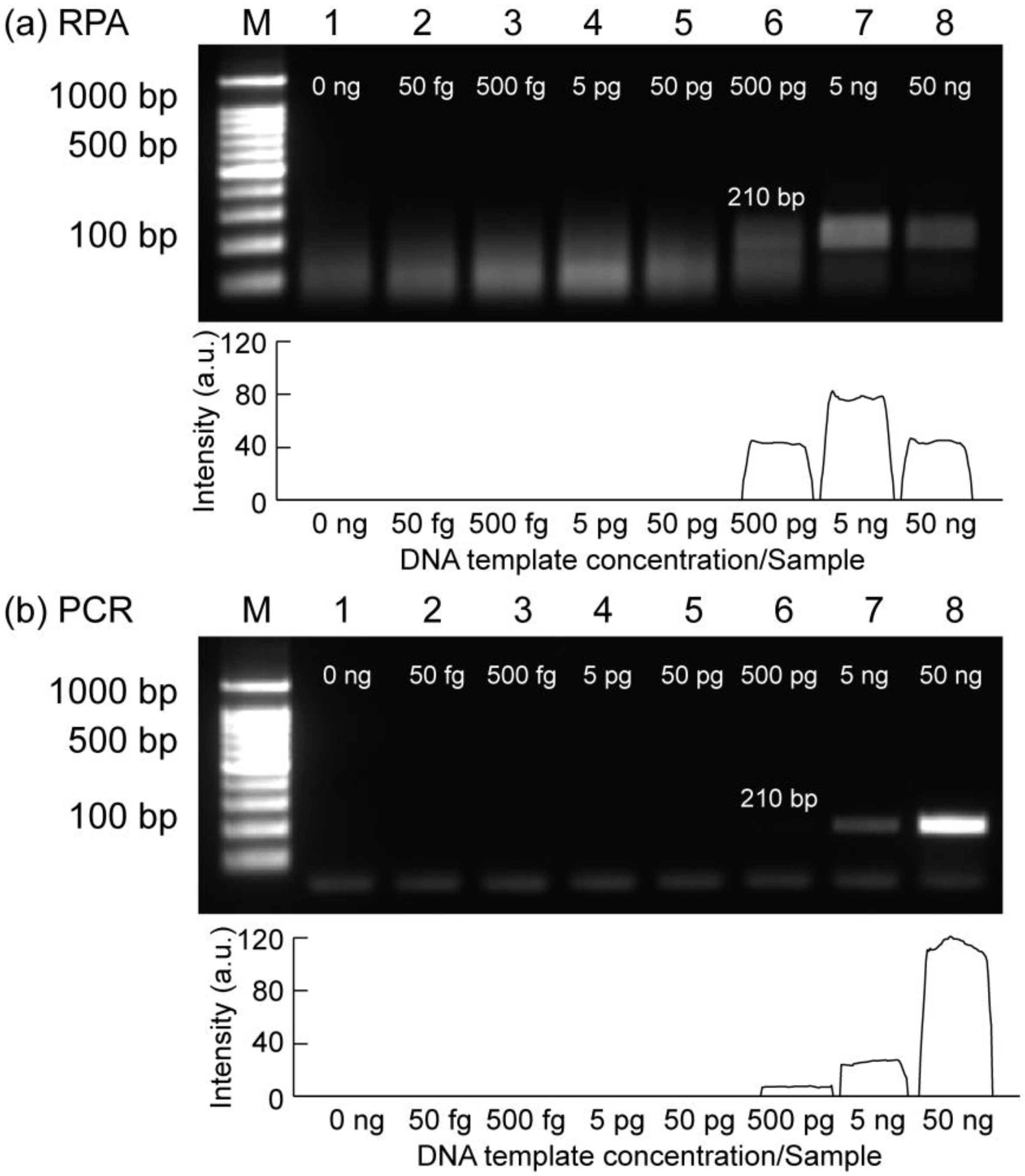 Biosensors 12 00072 g004