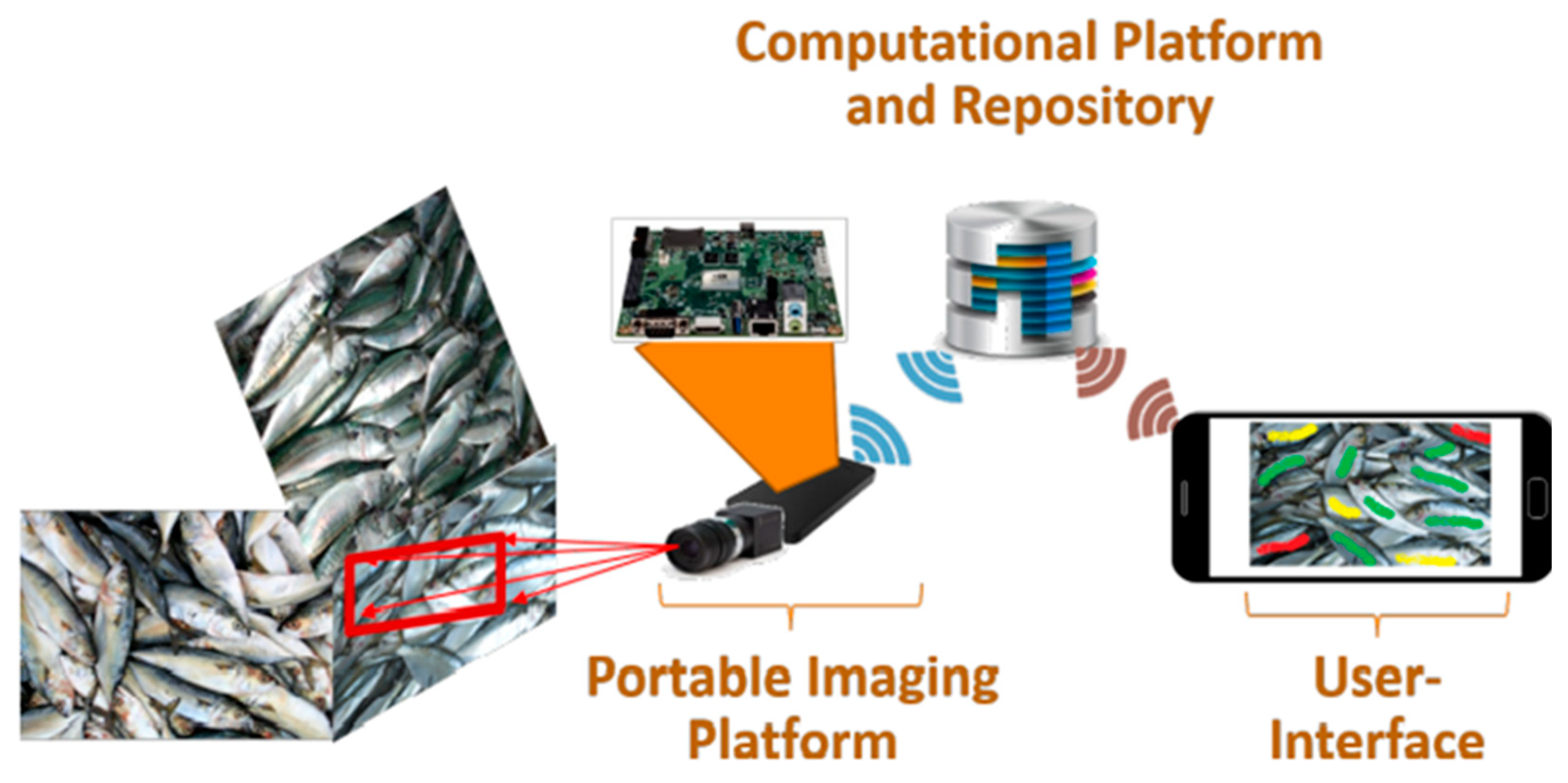 Biosensors 12 00076 g004 Biosensors 12 00076 g004