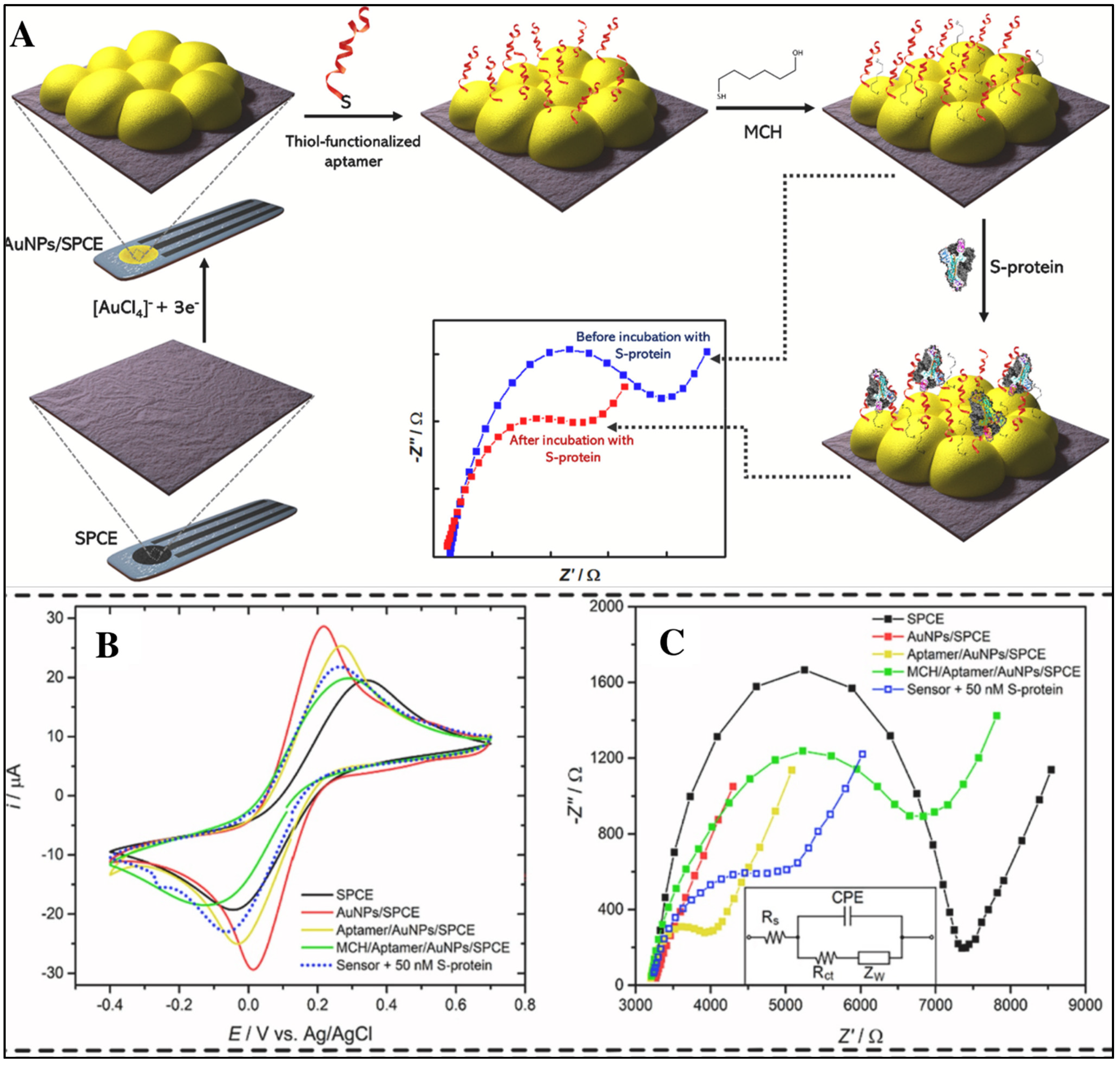 Biosensors 12 00081 g003