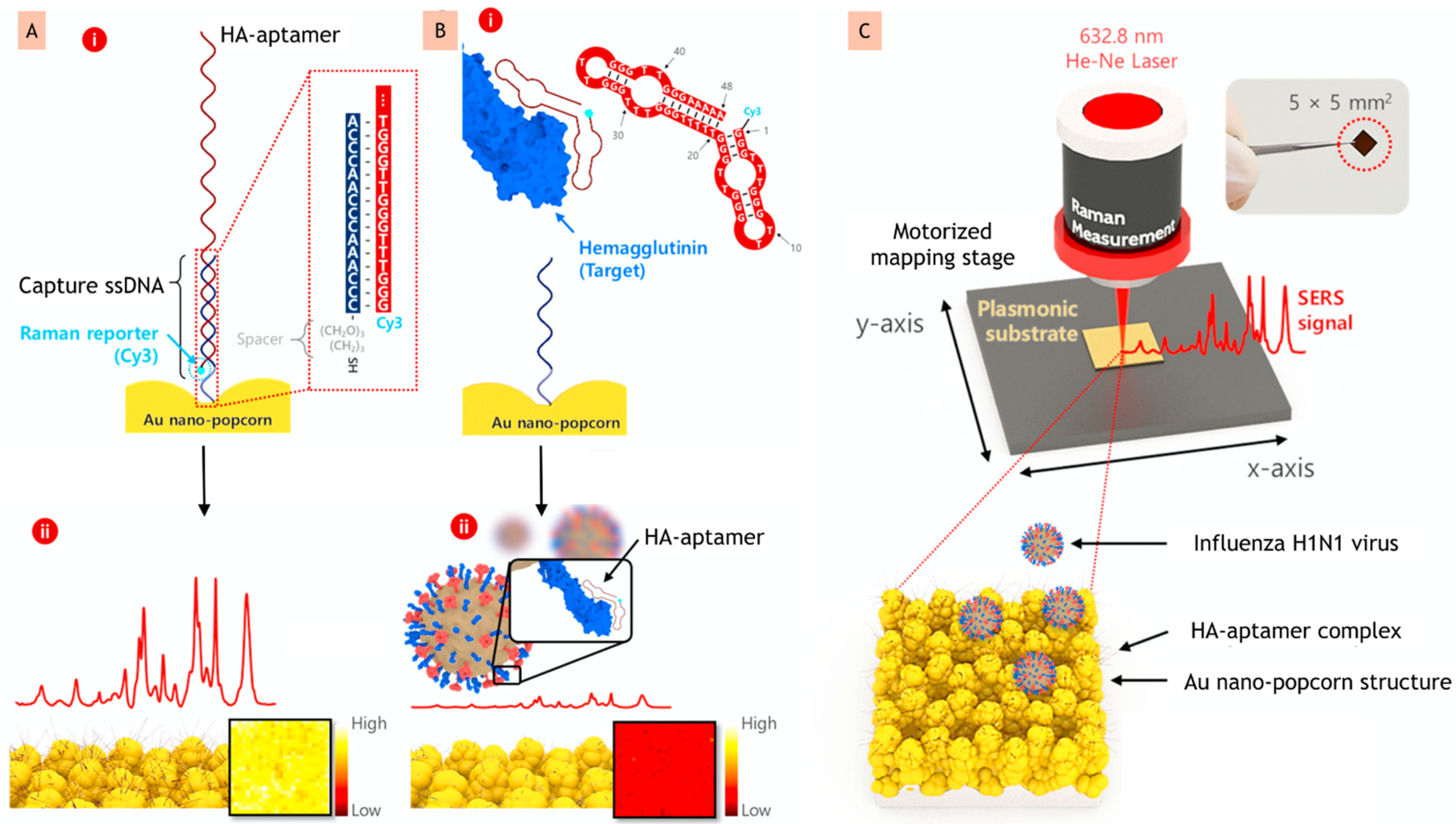 Biosensors 12 00081 g004