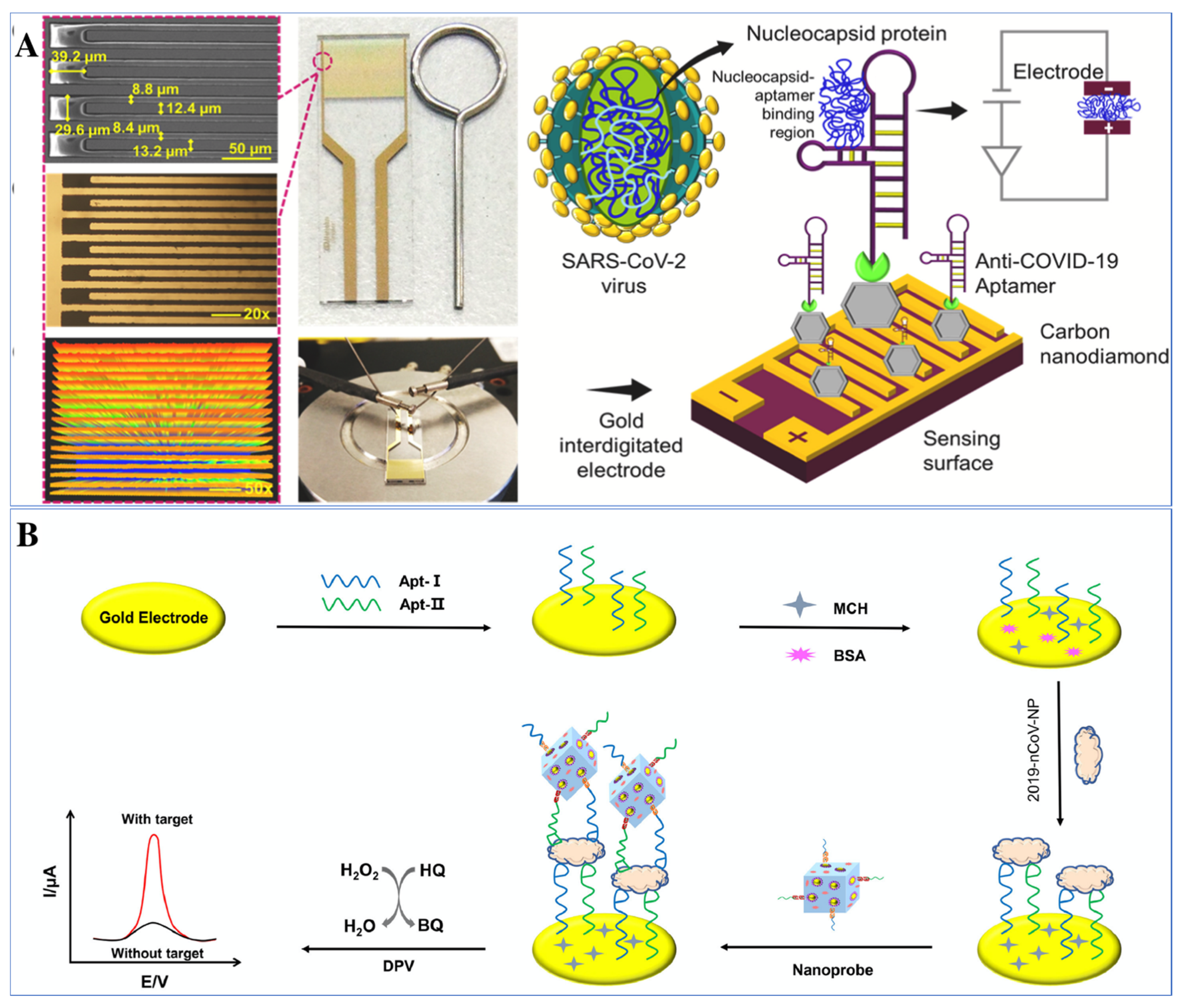 Biosensors 12 00081 g006