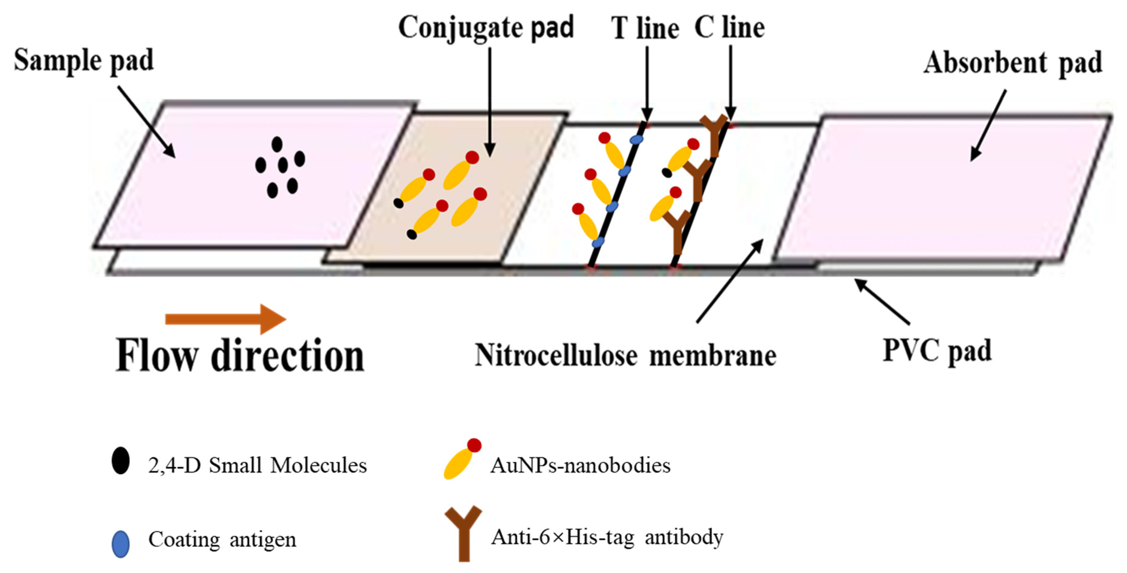 Biosensors 12 00084 g001