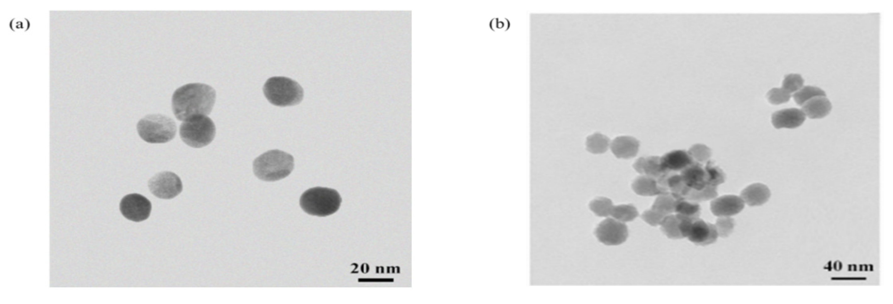 Biosensors 12 00084 g002