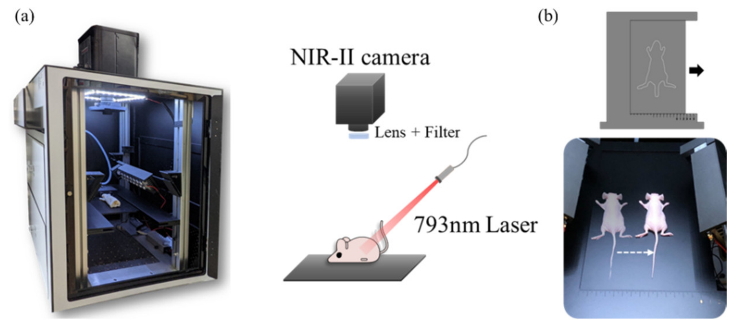 Biosensors 12 00085 g001