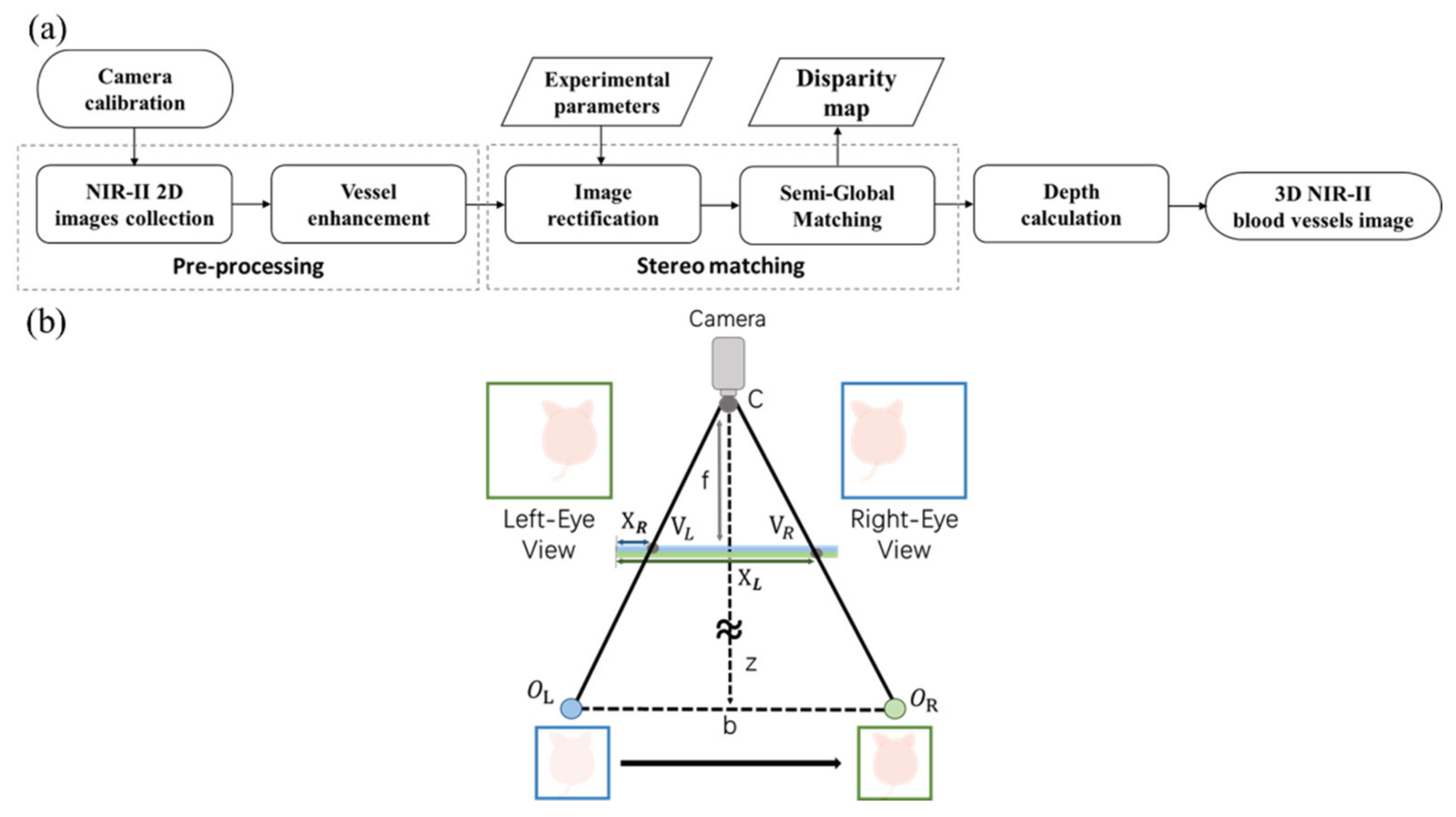 Biosensors 12 00085 g002